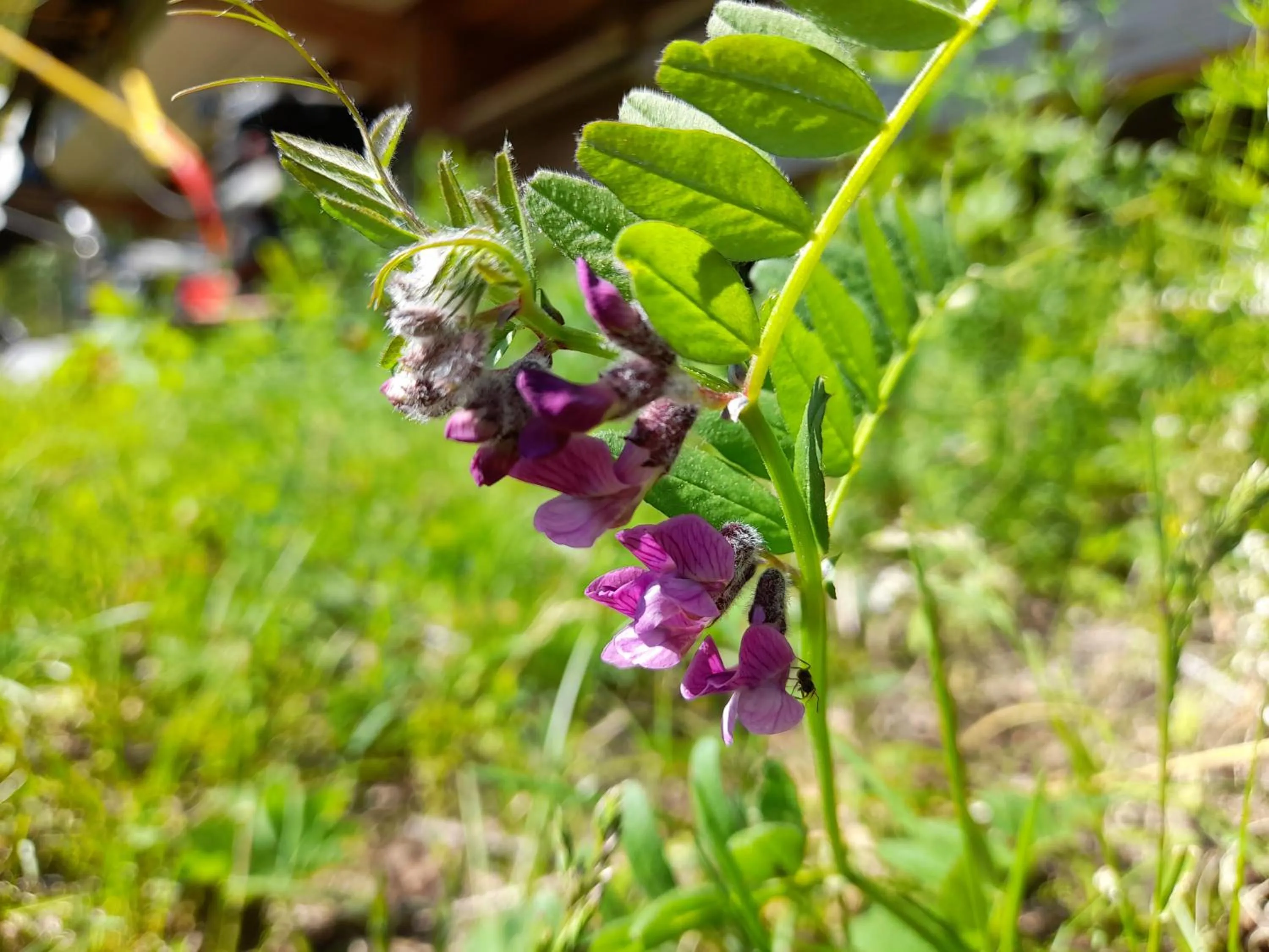 Natural landscape in Kristinebergs Bed & Breakfast