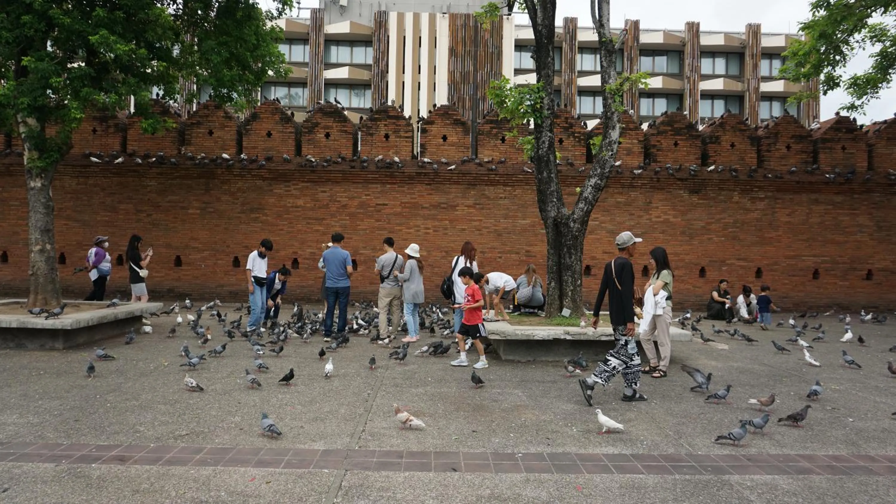 Area and facilities in iThaphae Hotel