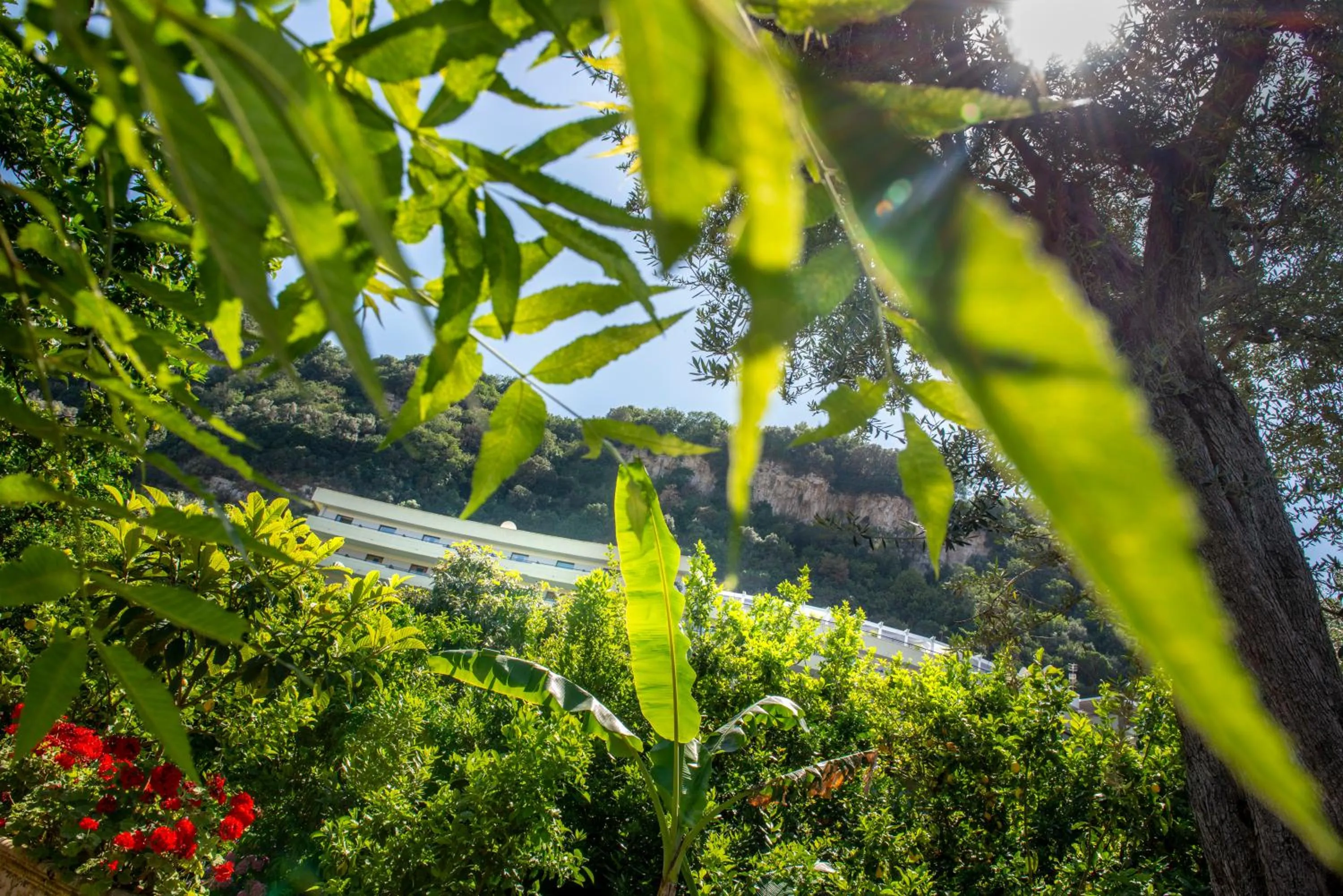 Garden in Hilton Sorrento Palace
