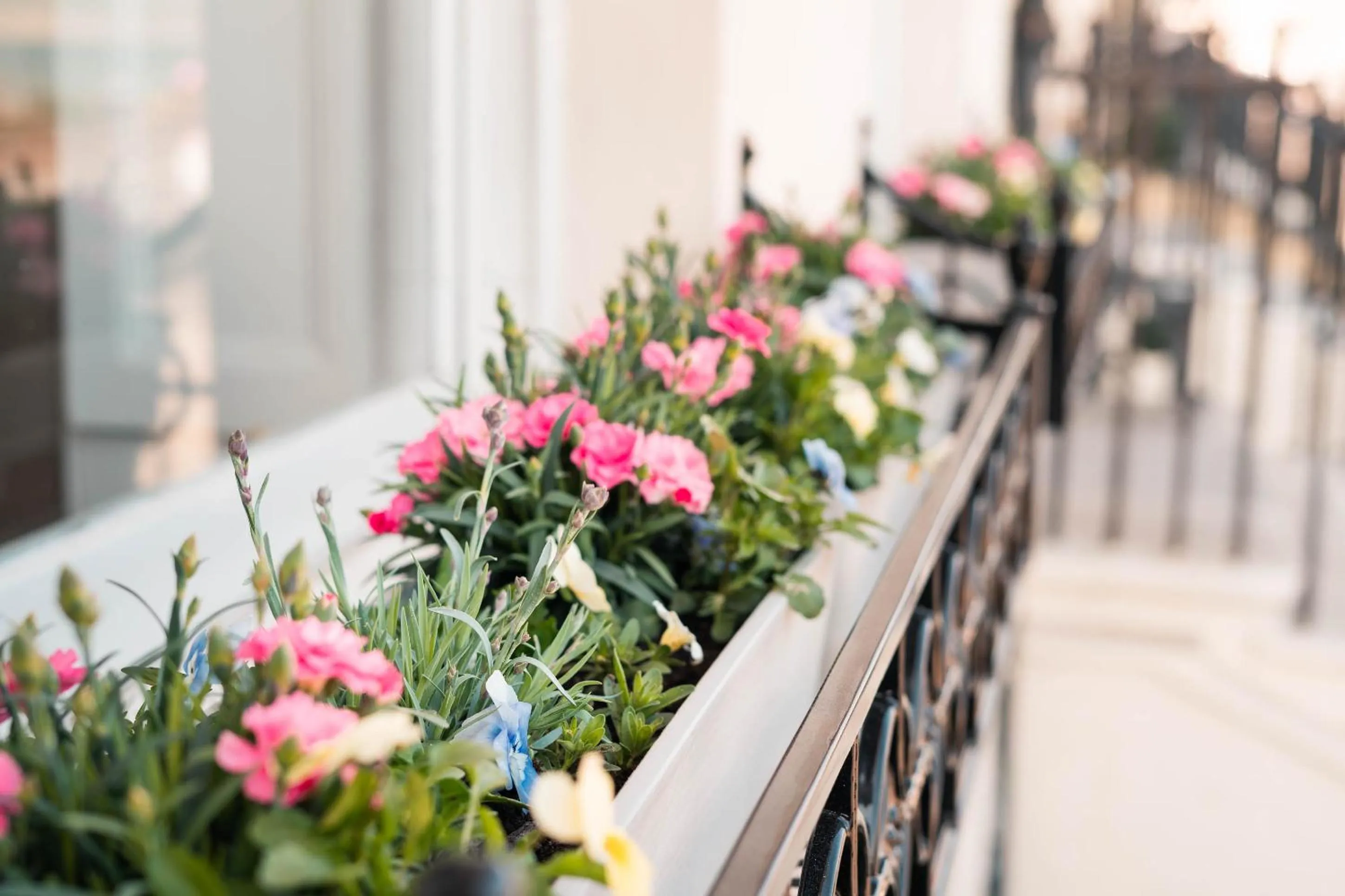 Property building in Gresham Guest House