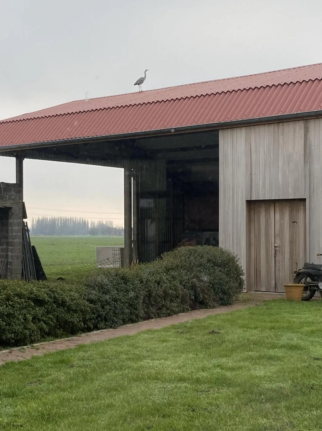 Garden view in Kokkelikoo