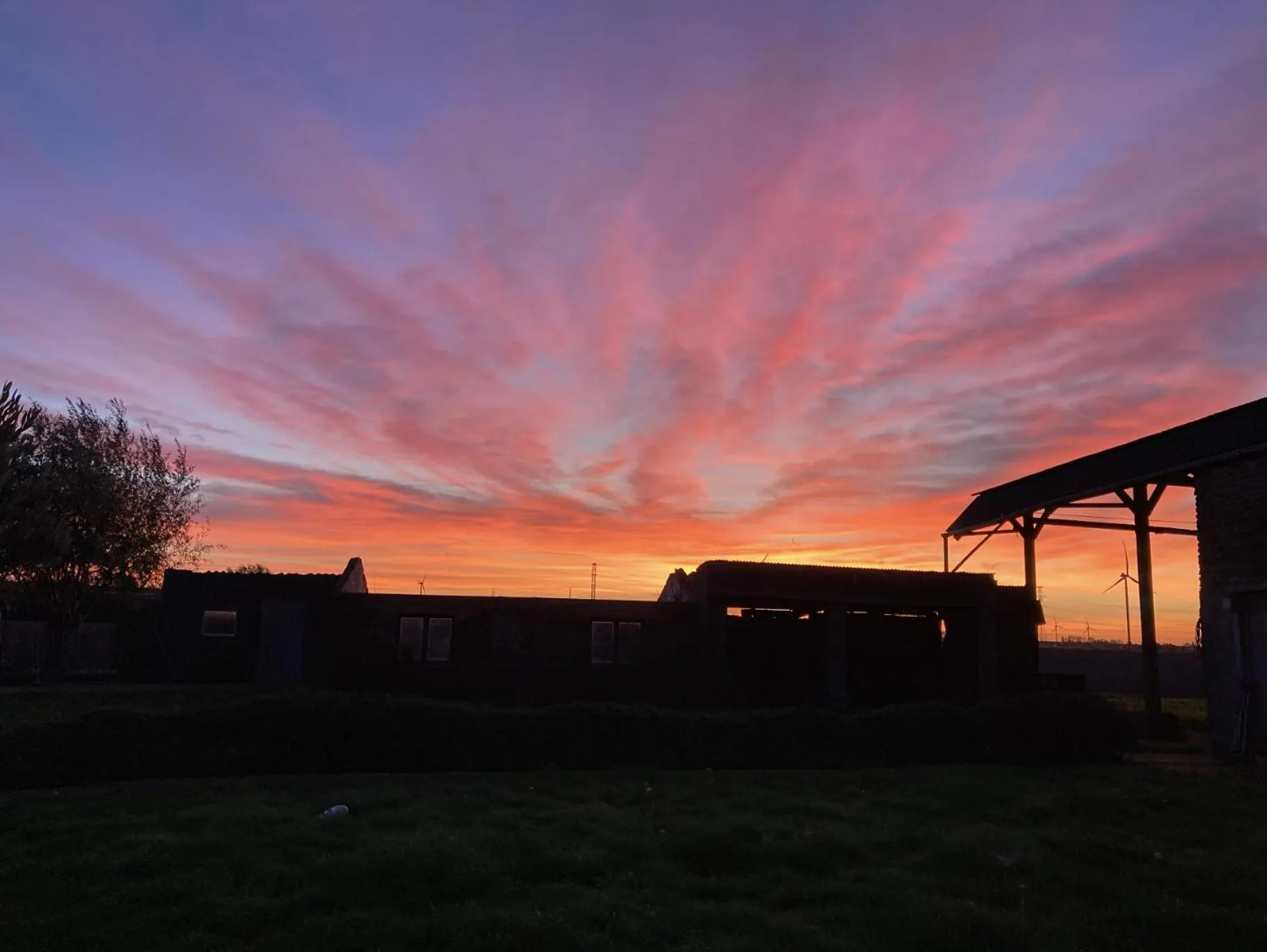 Garden view in Kokkelikoo