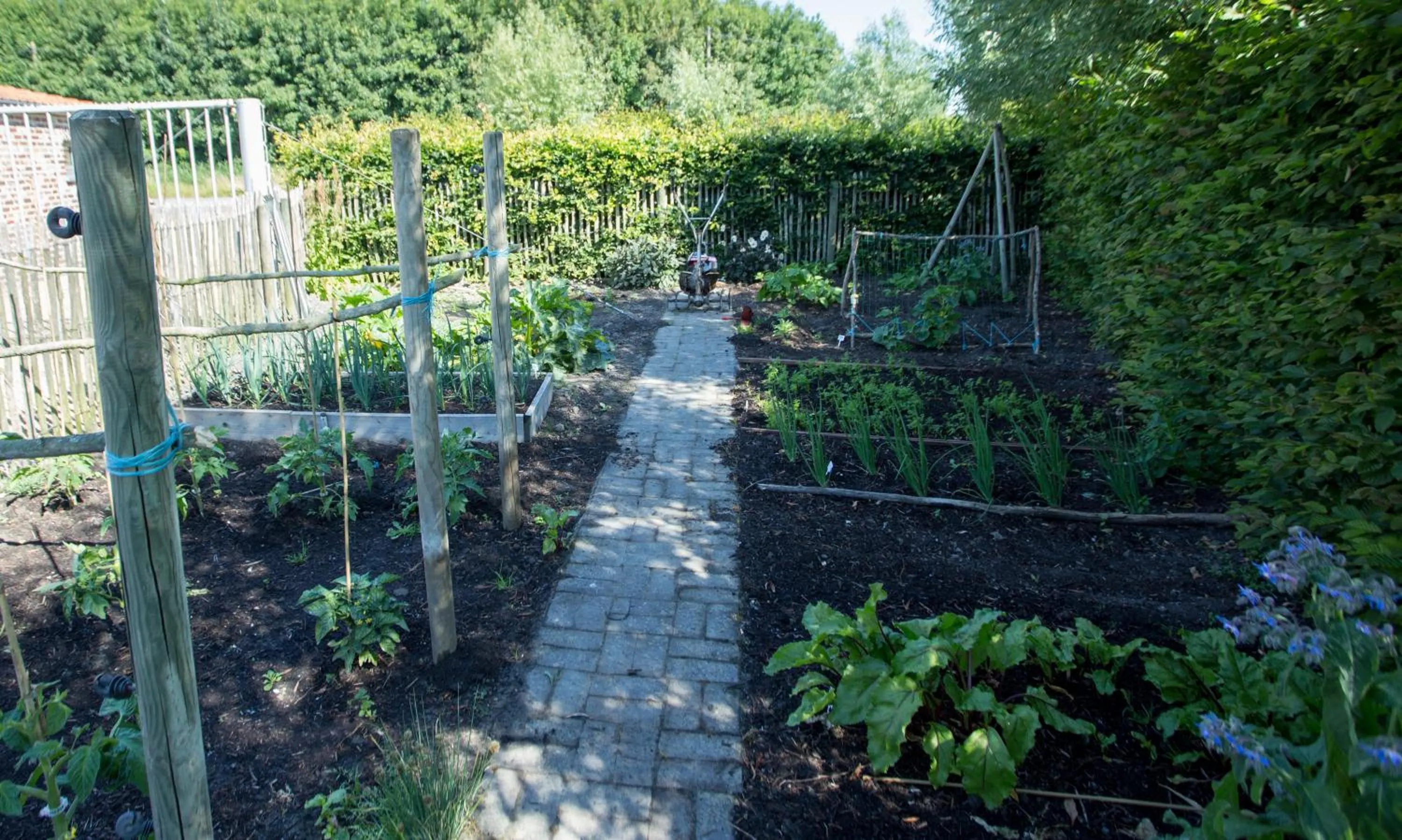 Garden view in Kokkelikoo