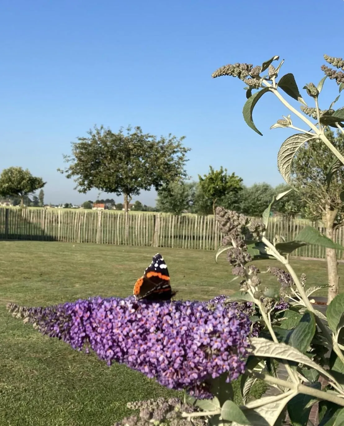 Garden view in Kokkelikoo
