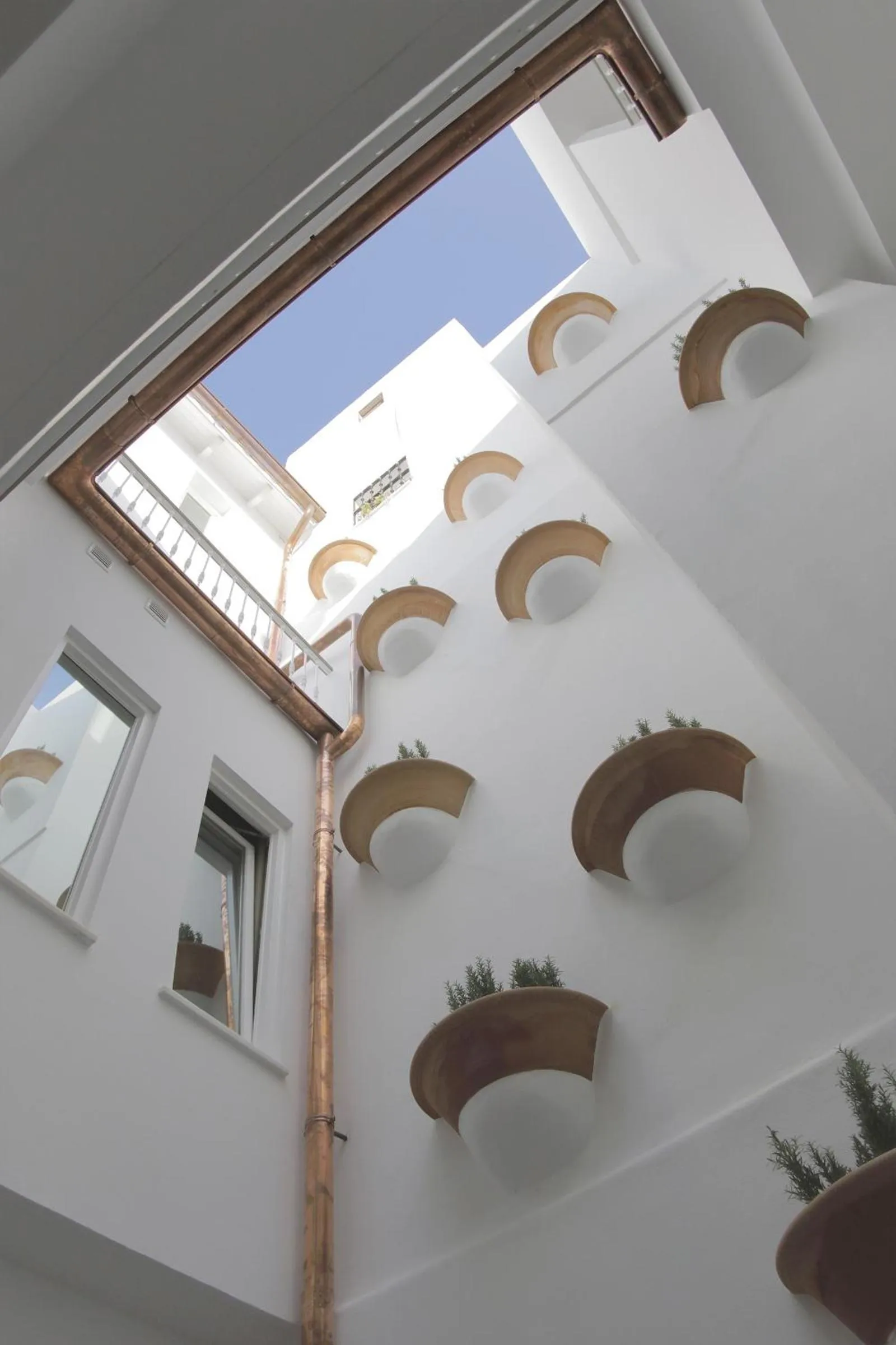 Patio in Hostal Gravina