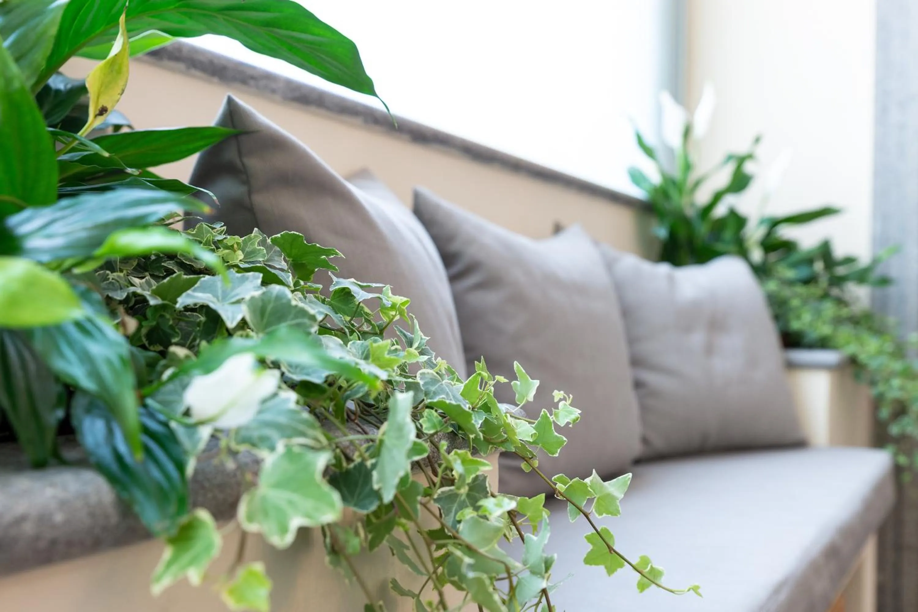 Balcony/Terrace in Hotel Silver Milano