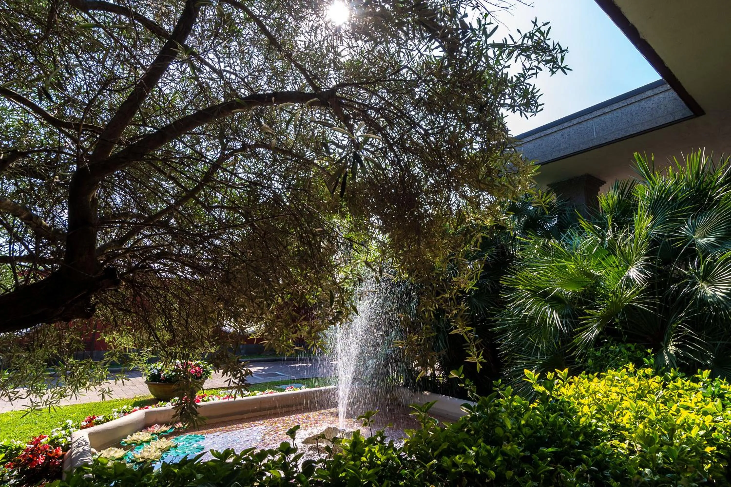 Garden in Hotel Silver Milano