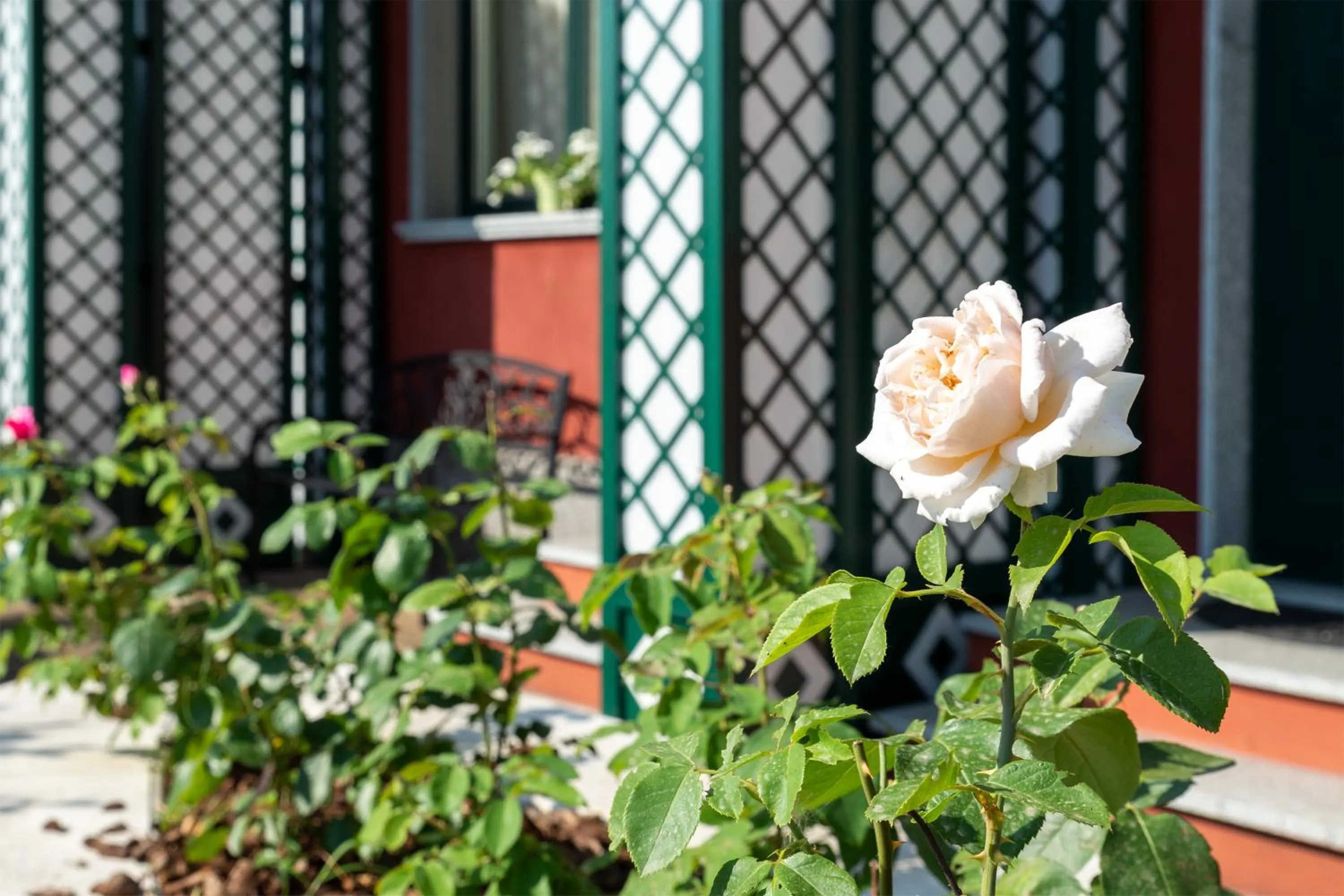 Garden in Hotel Silver Milano