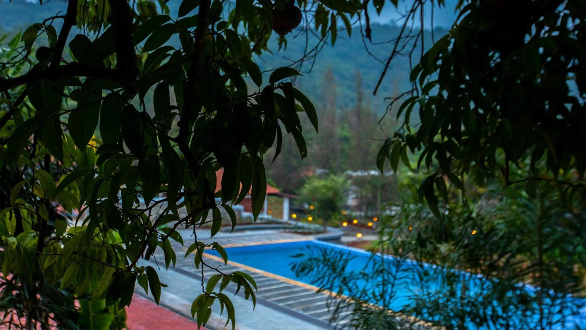 Garden in AARA Jungle Resort