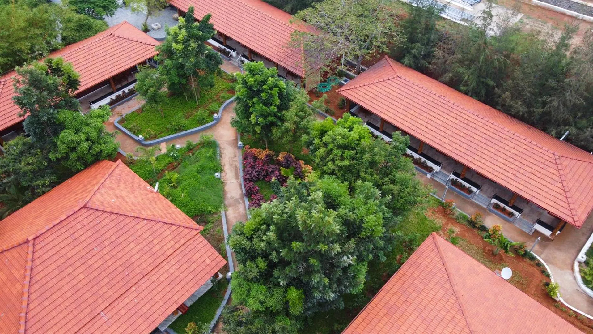 Property building in AARA Jungle Resort