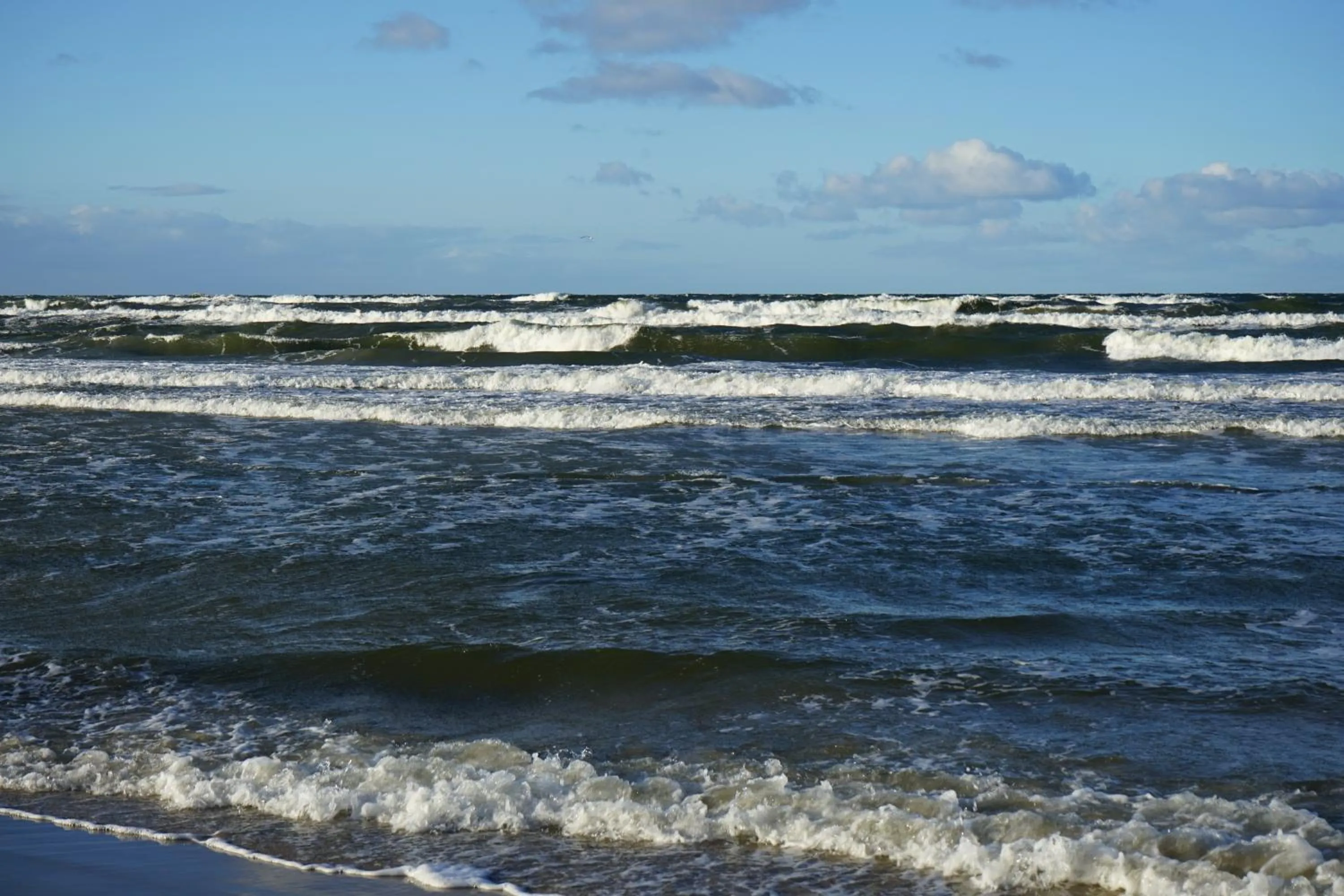 Nearby landmark in Hotel White