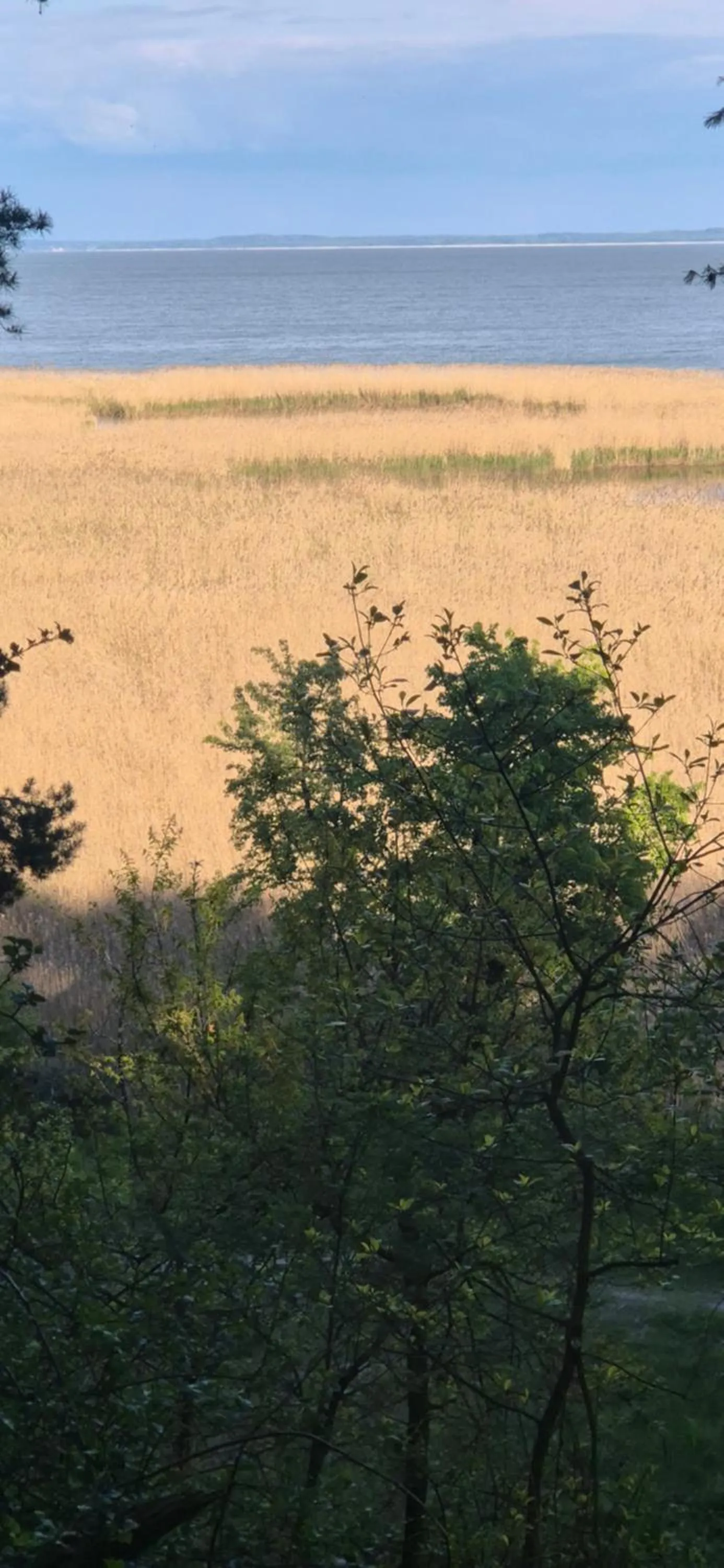 Neighbourhood in Hotel White