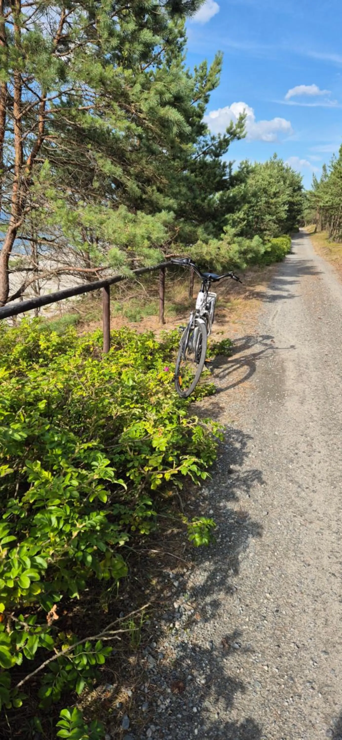 Cycling in Hotel White