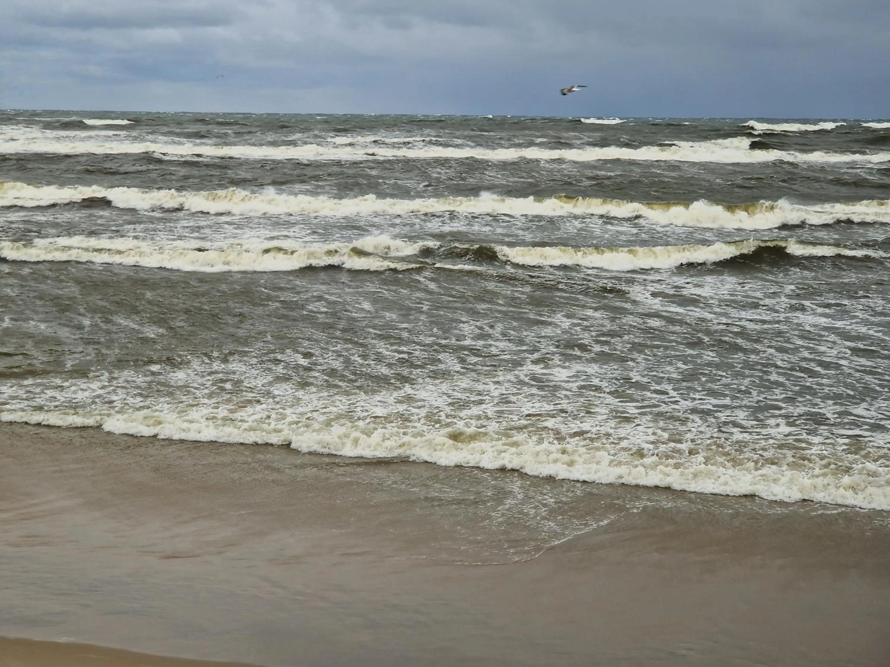 Beach in Hotel White