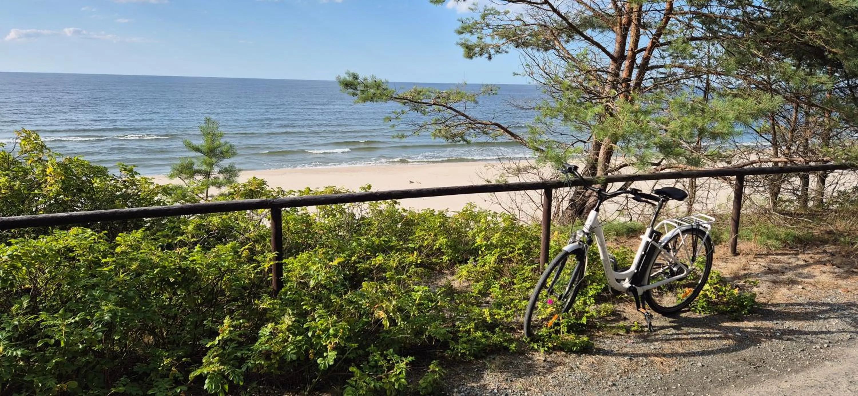 Beach in Hotel White