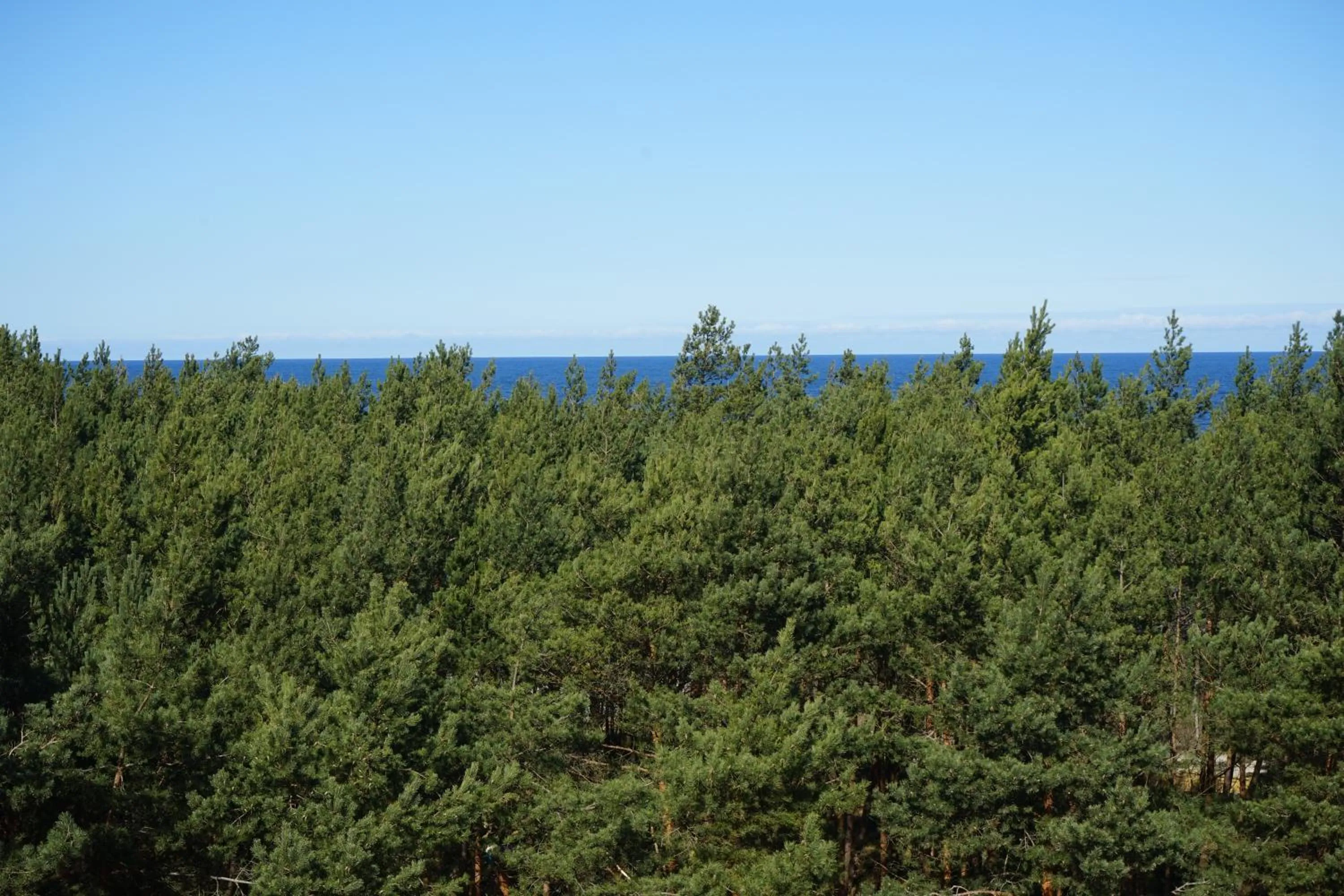 Sea view in Hotel White