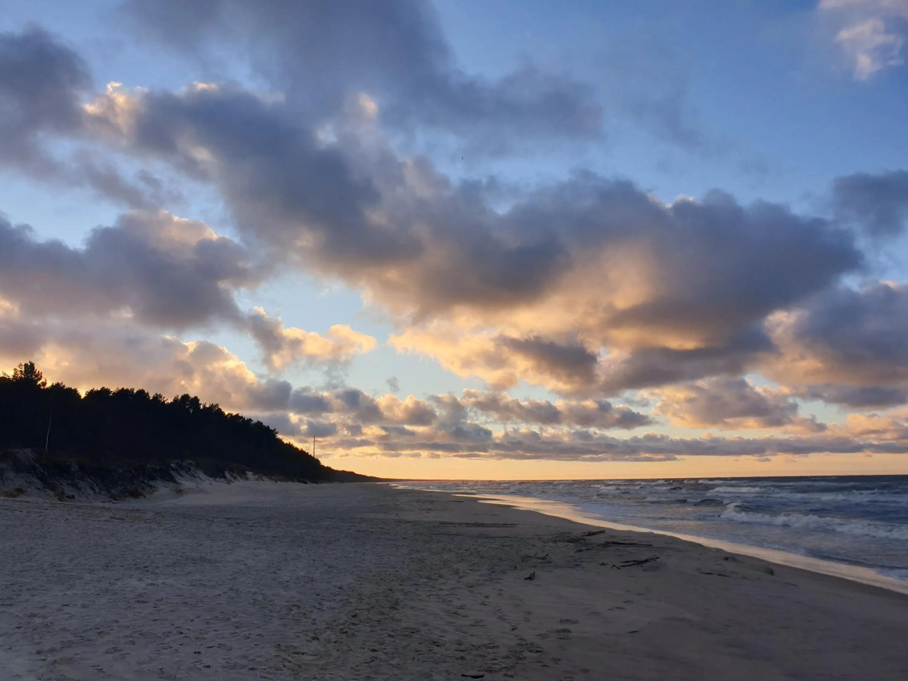 Beach in Hotel White