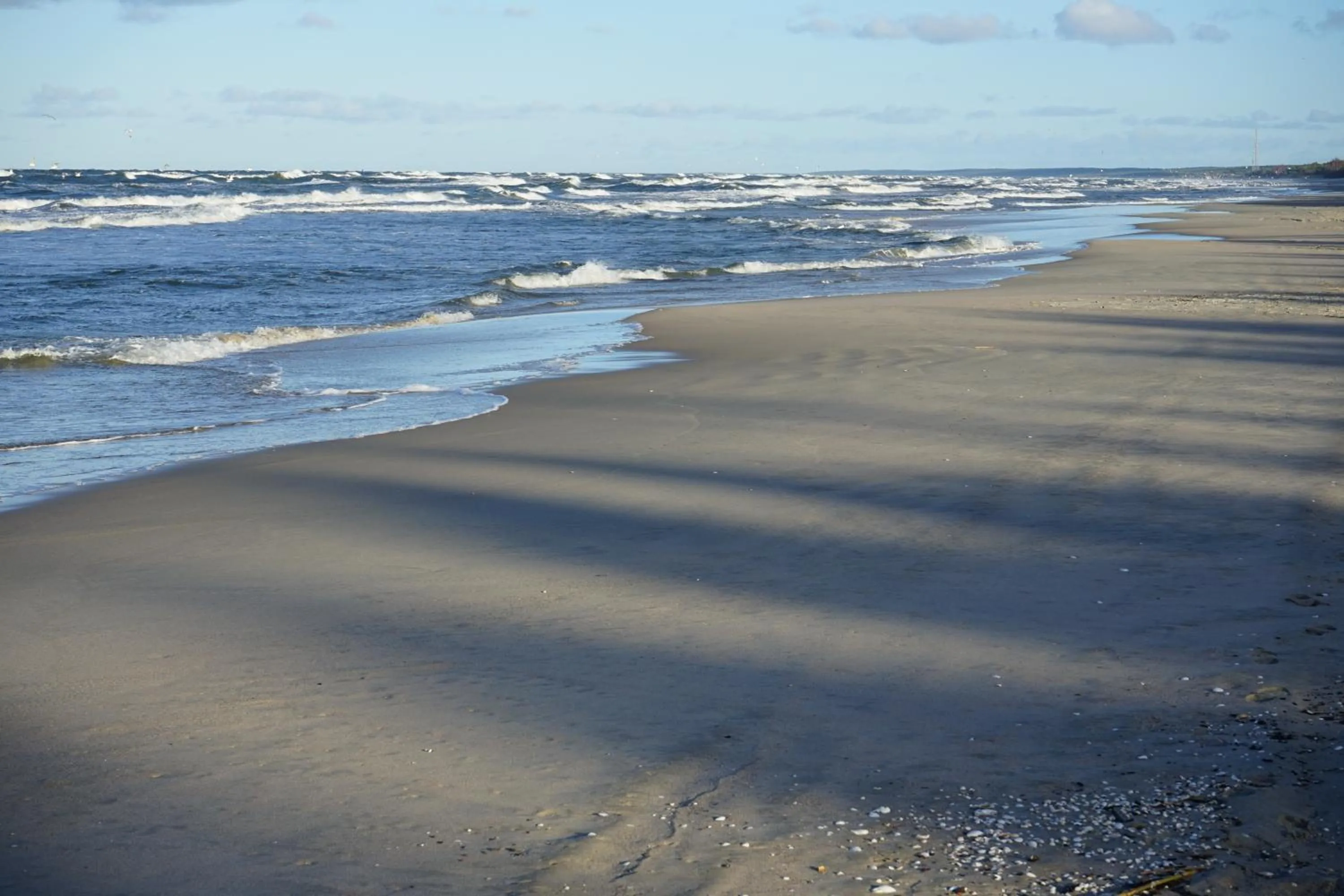 Beach in Hotel White