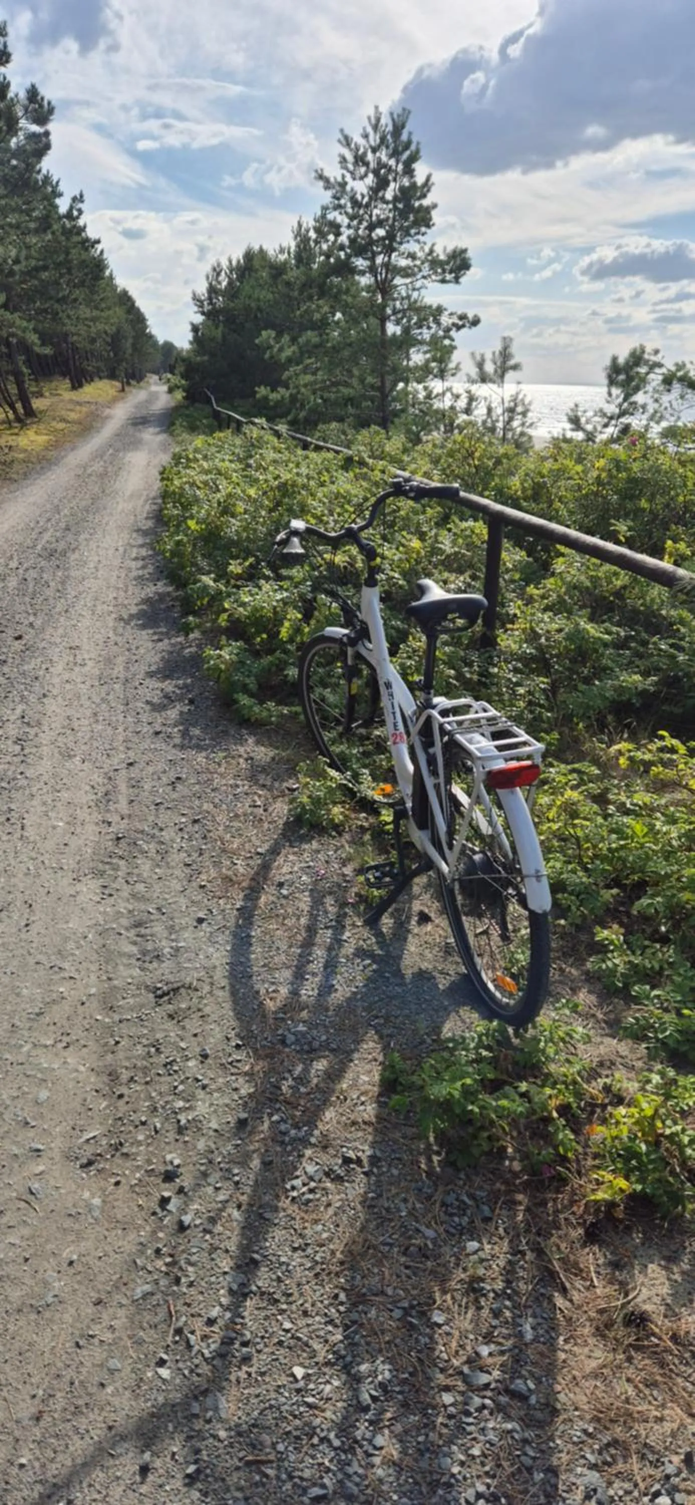 Off site in Hotel White