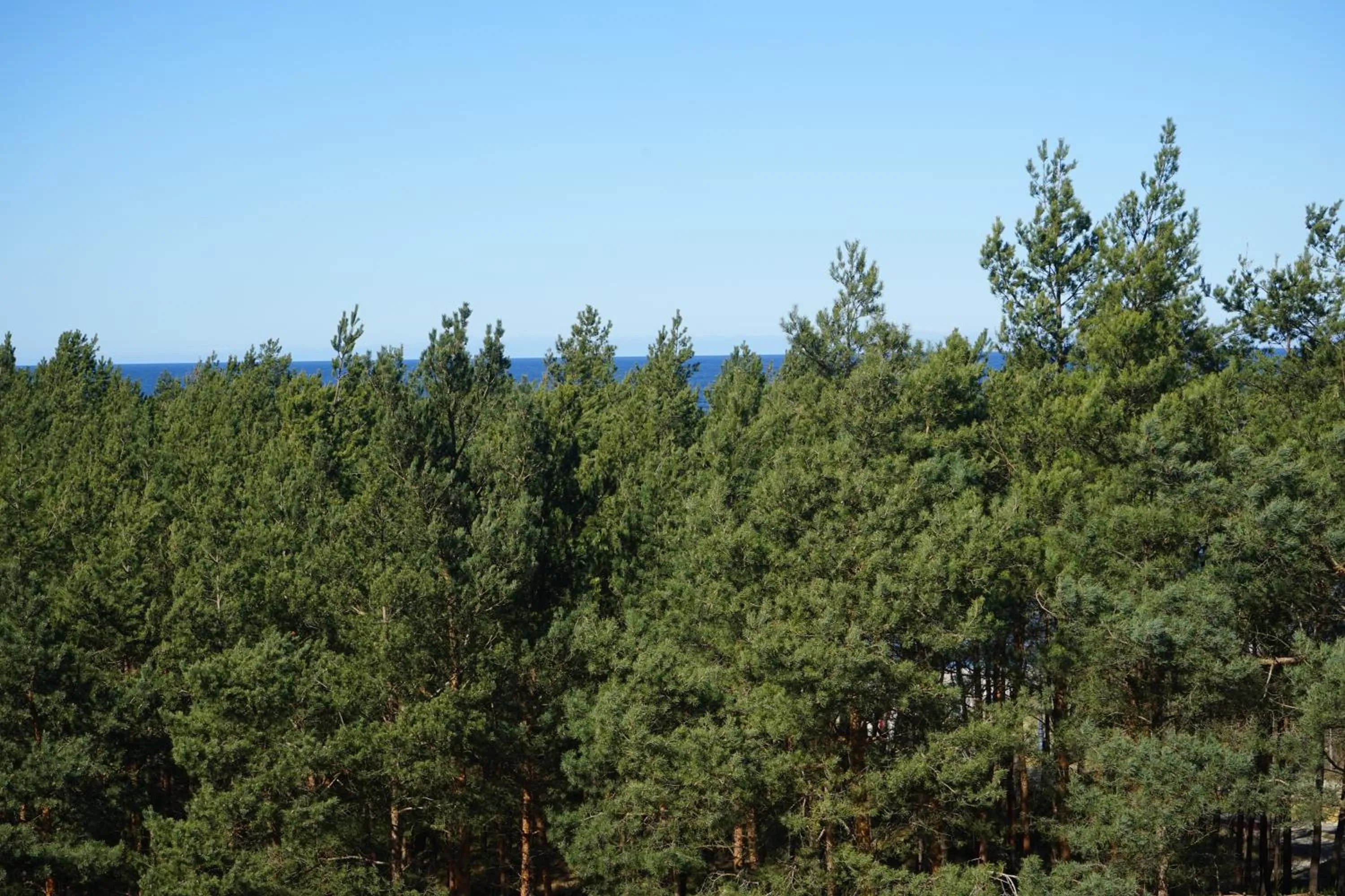 Sea view in Hotel White