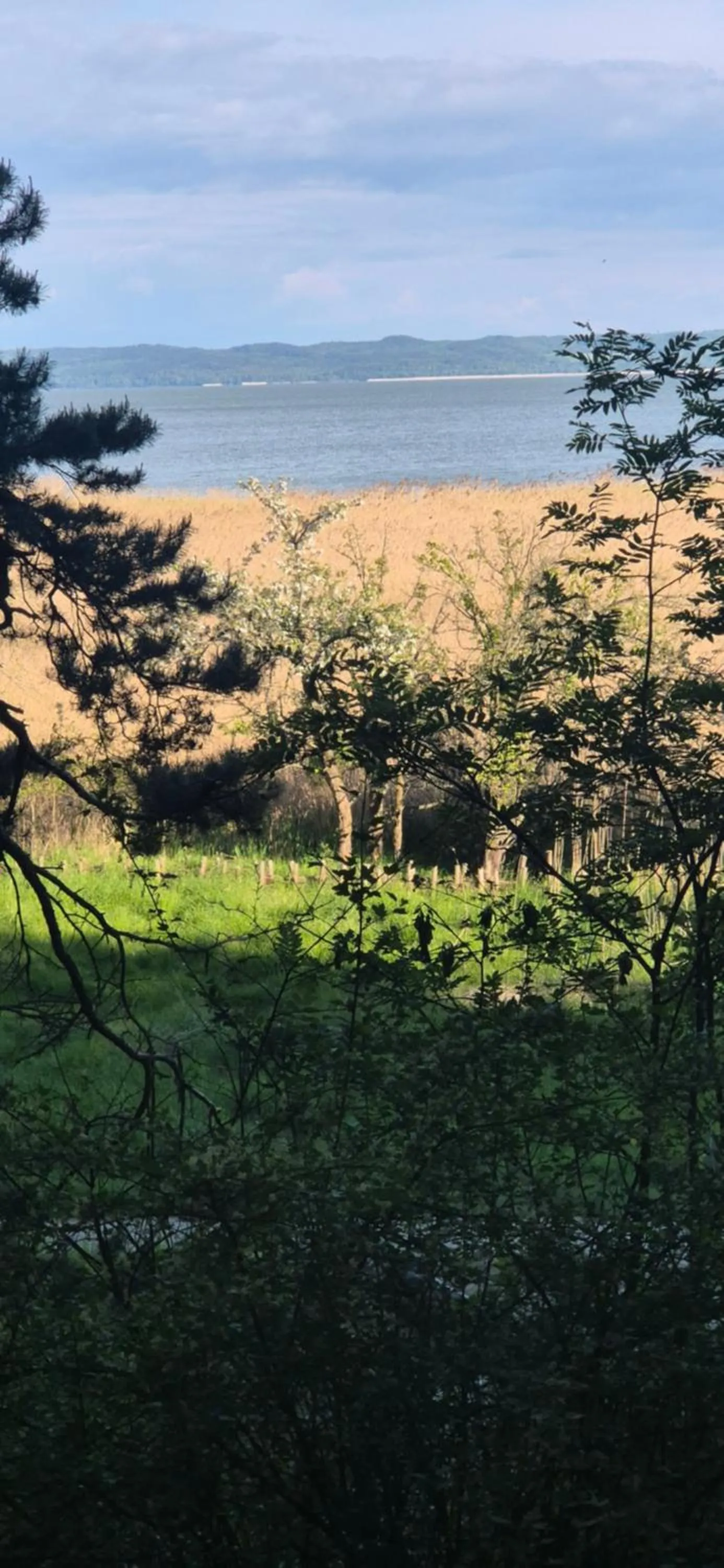 Location in Hotel White