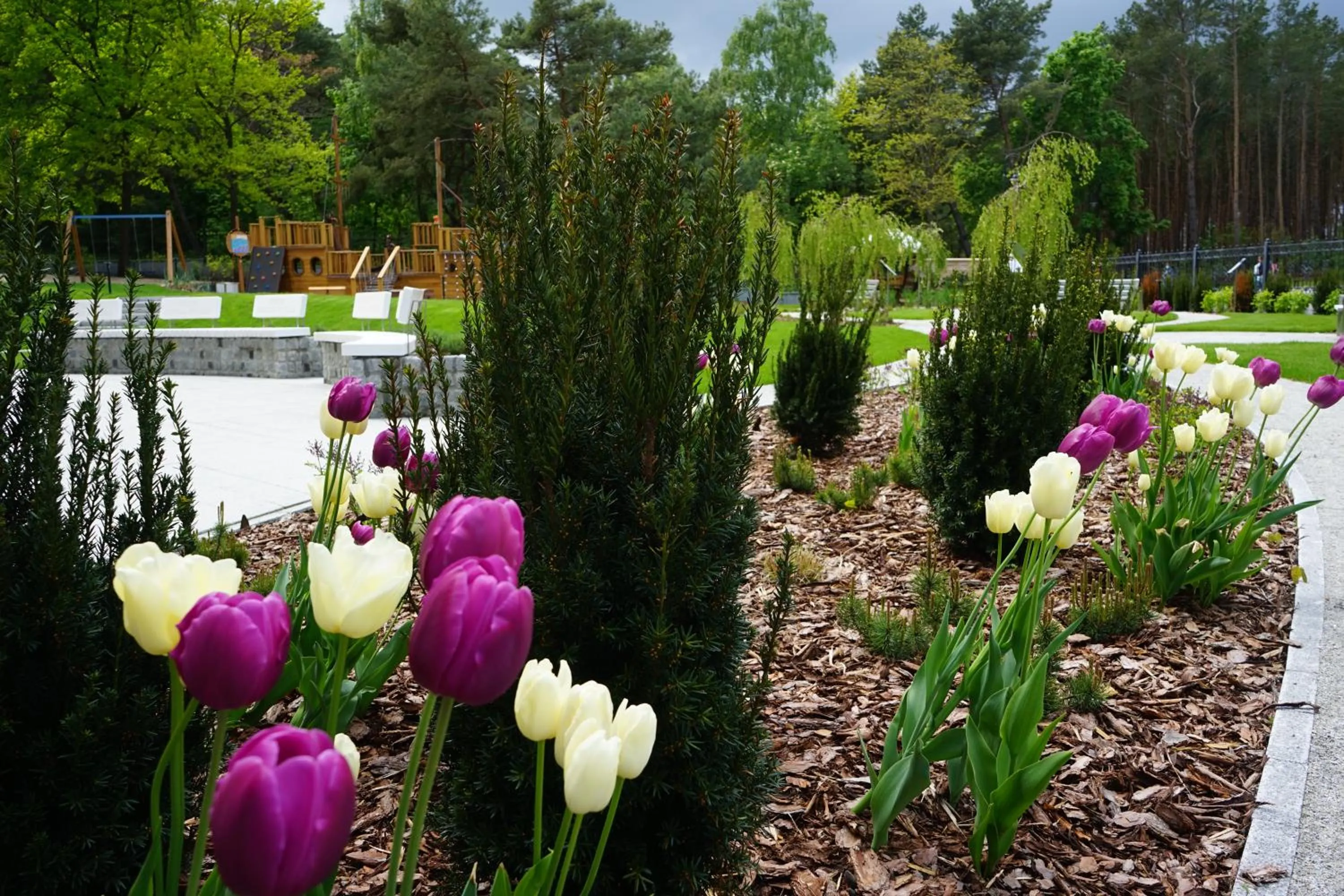 Garden in Hotel White