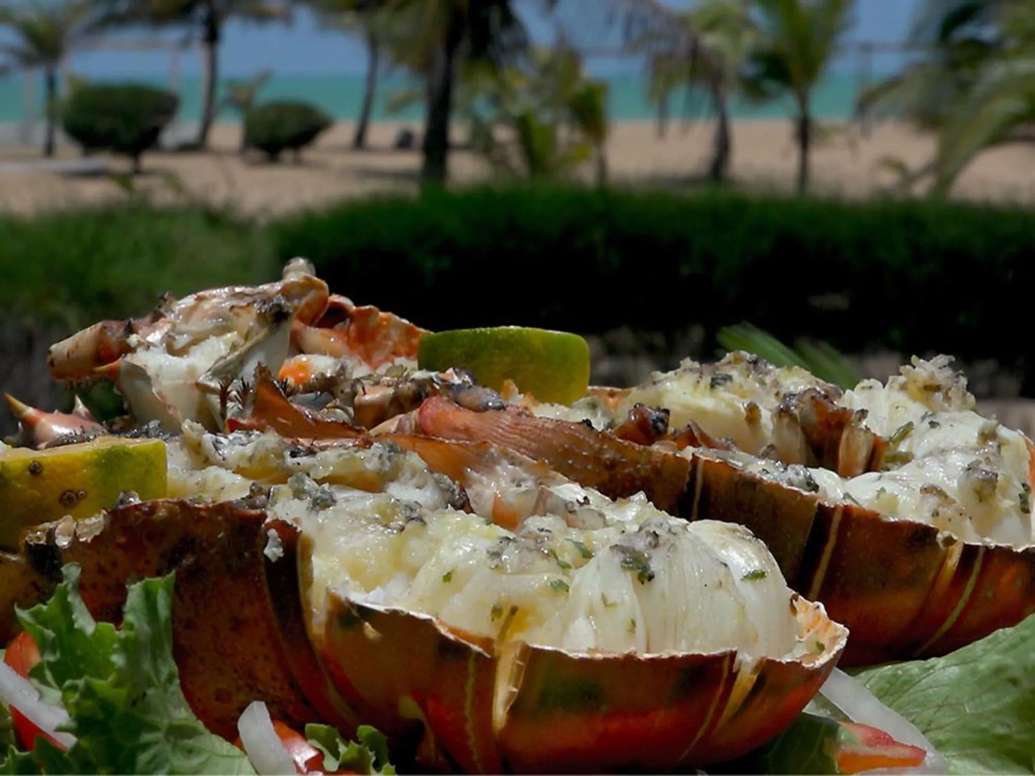 Patio in Hotel Village Vacances Awale Plage