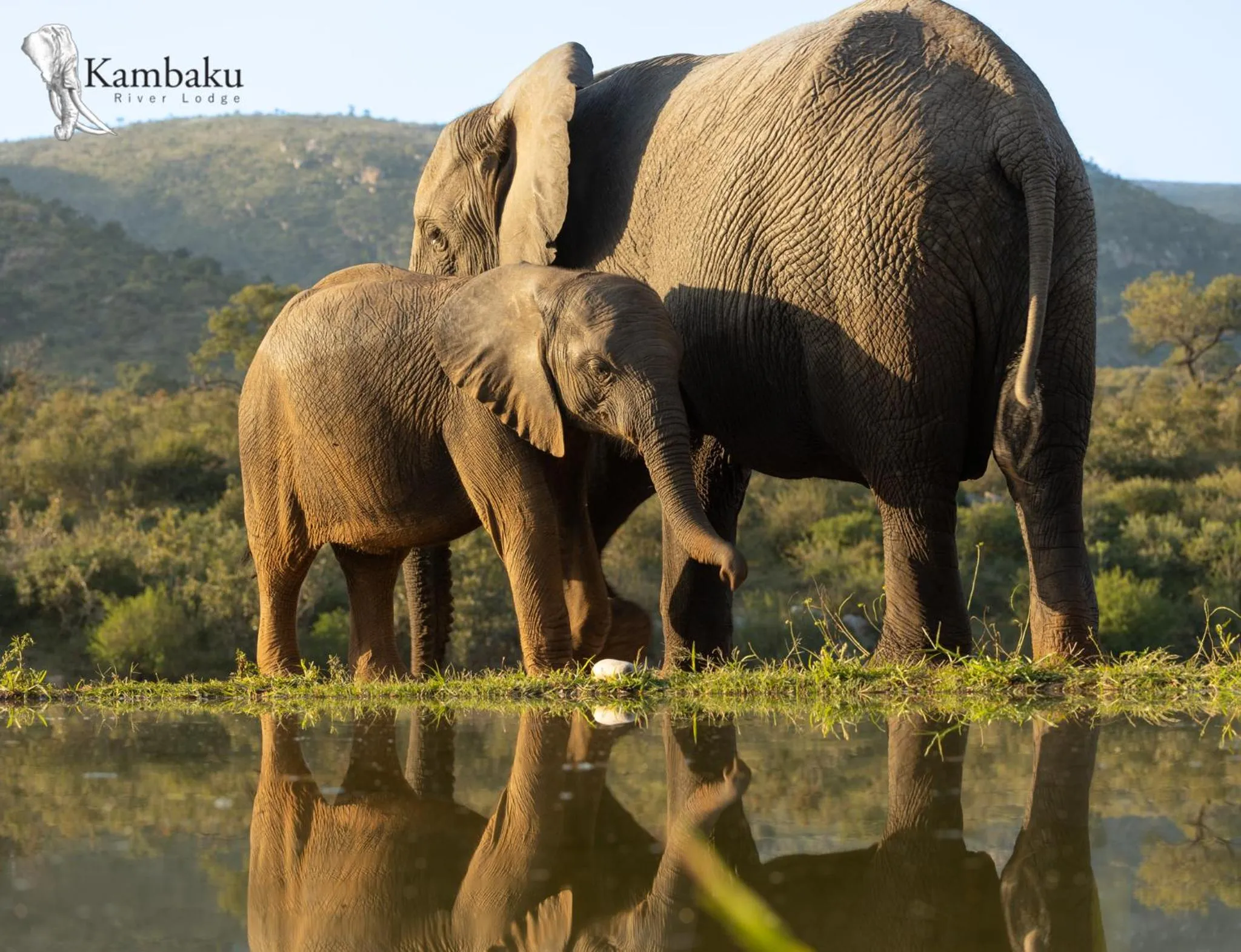 View (from property/room) in Kambaku River Lodge