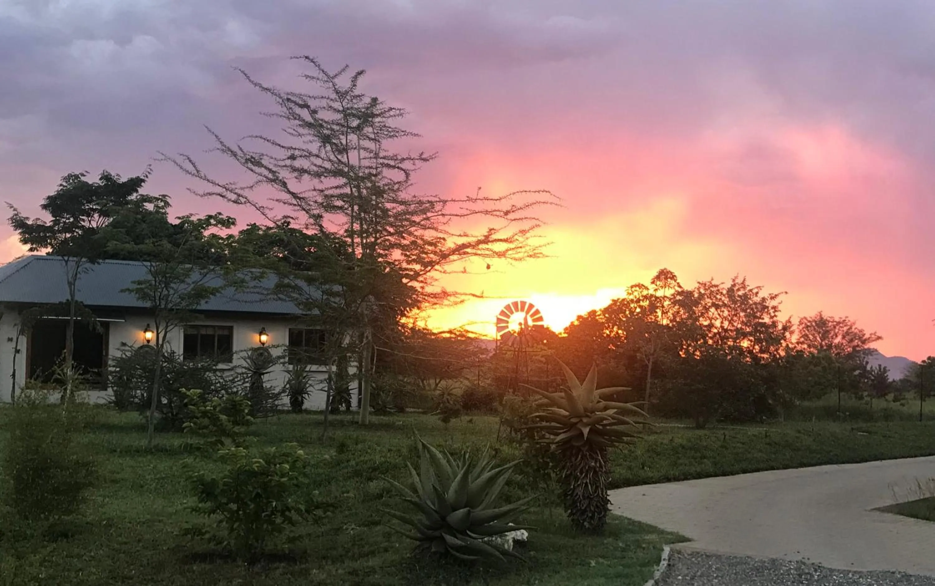 Garden view in Kambaku River Lodge
