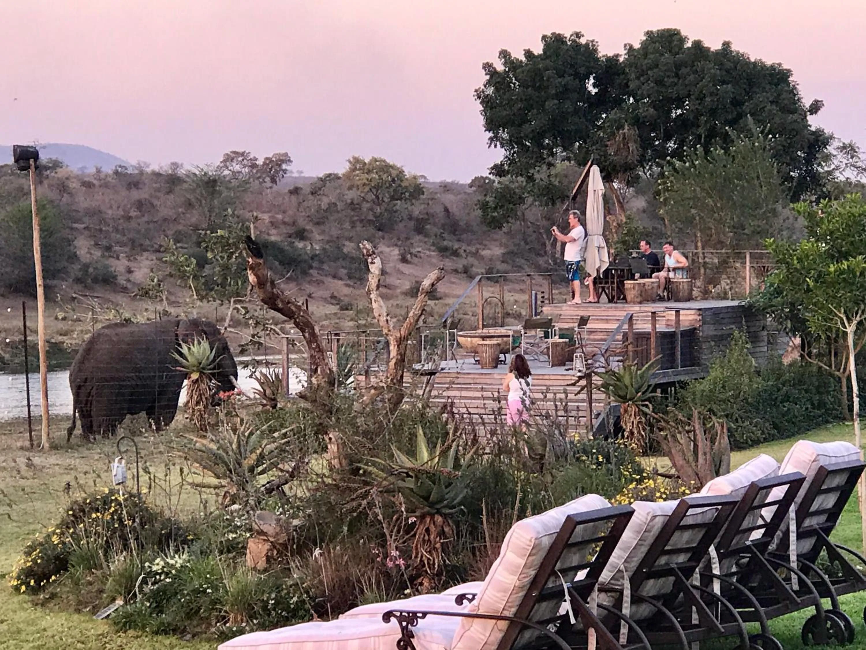 Animals in Kambaku River Lodge