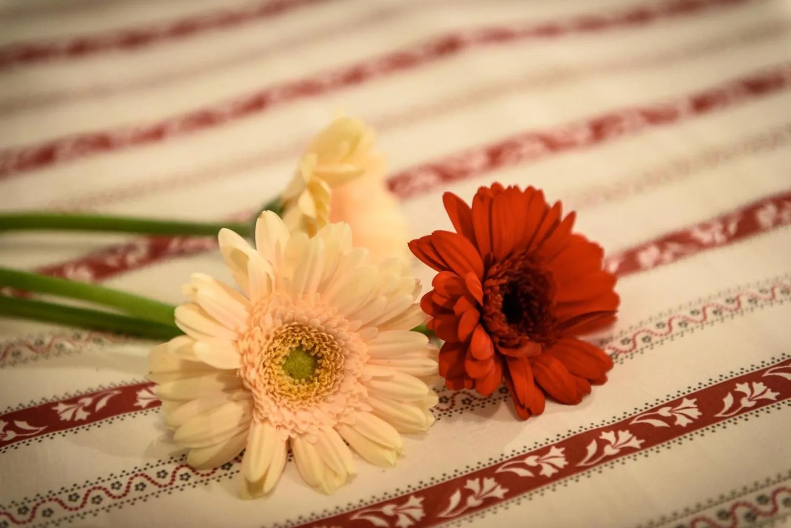 Other in Ostello del Castello Tirano