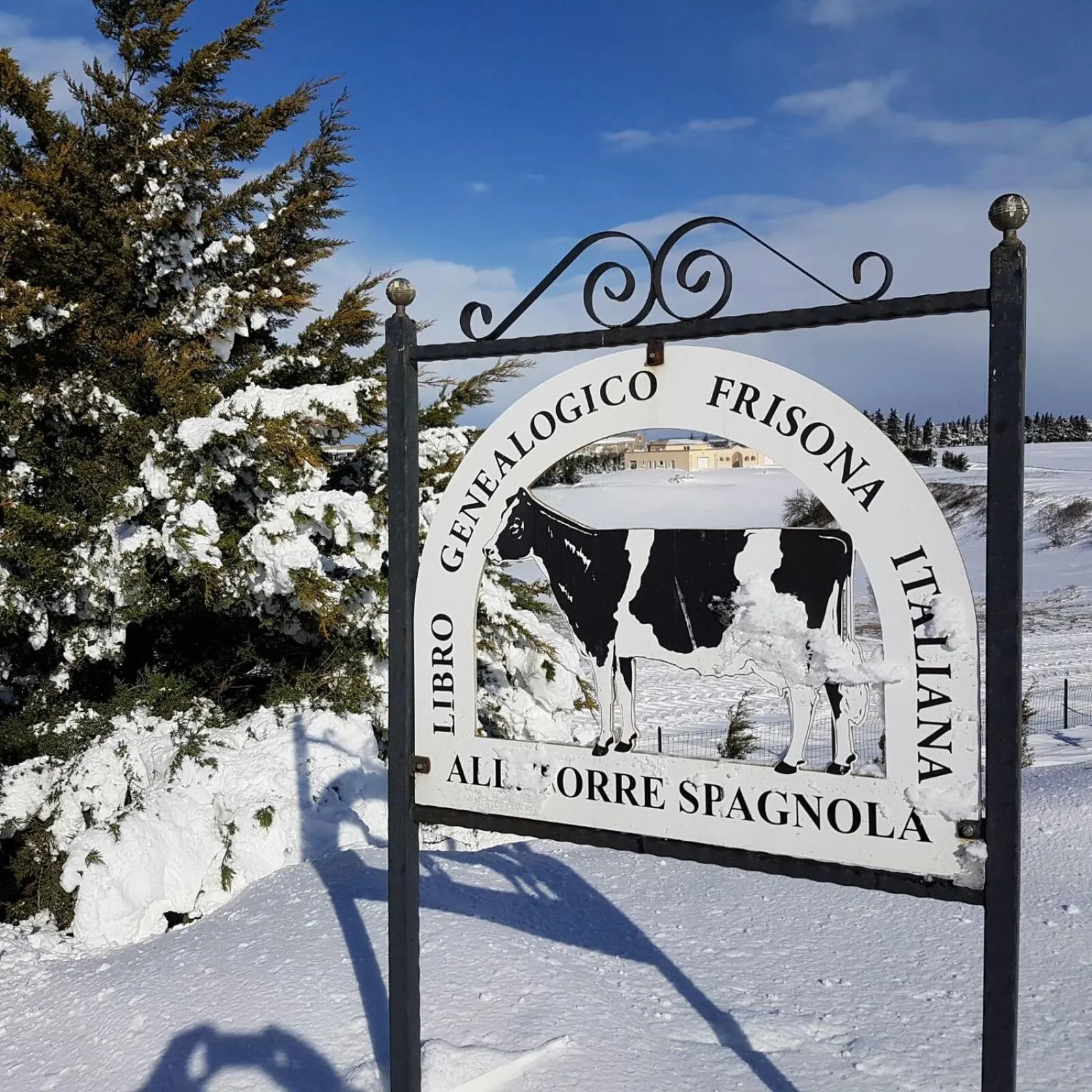 Certificate/Award in Masseria Torre Spagnola