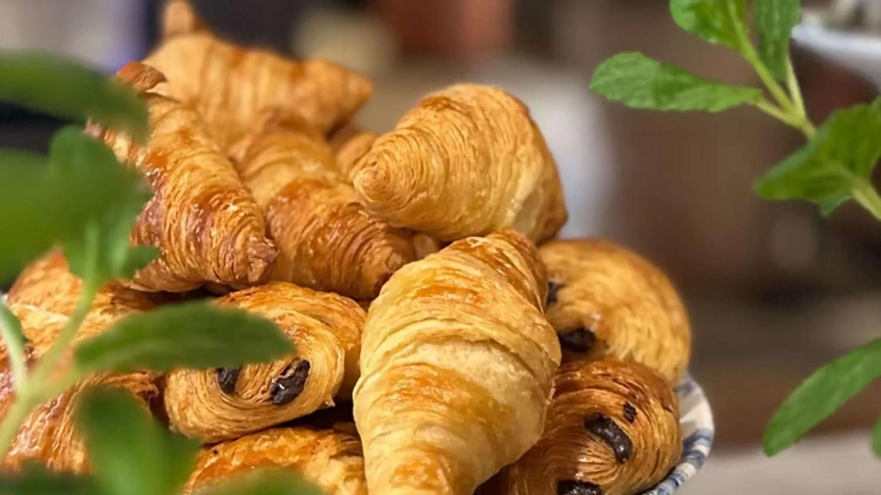 Restaurant/places to eat in Hotel Indigo Bridgetown Barbados by IHG