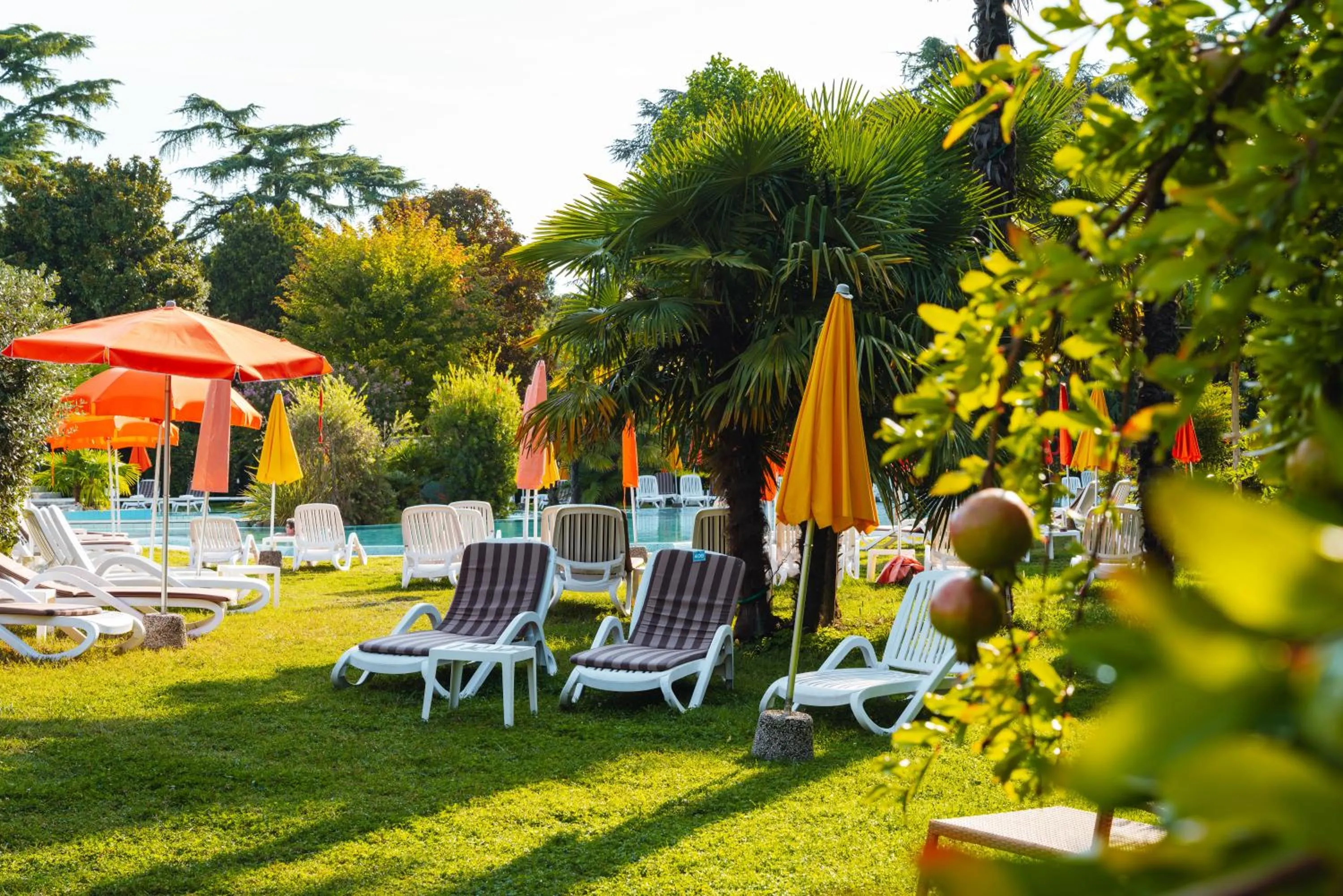 Garden in Hotel Garden Terme