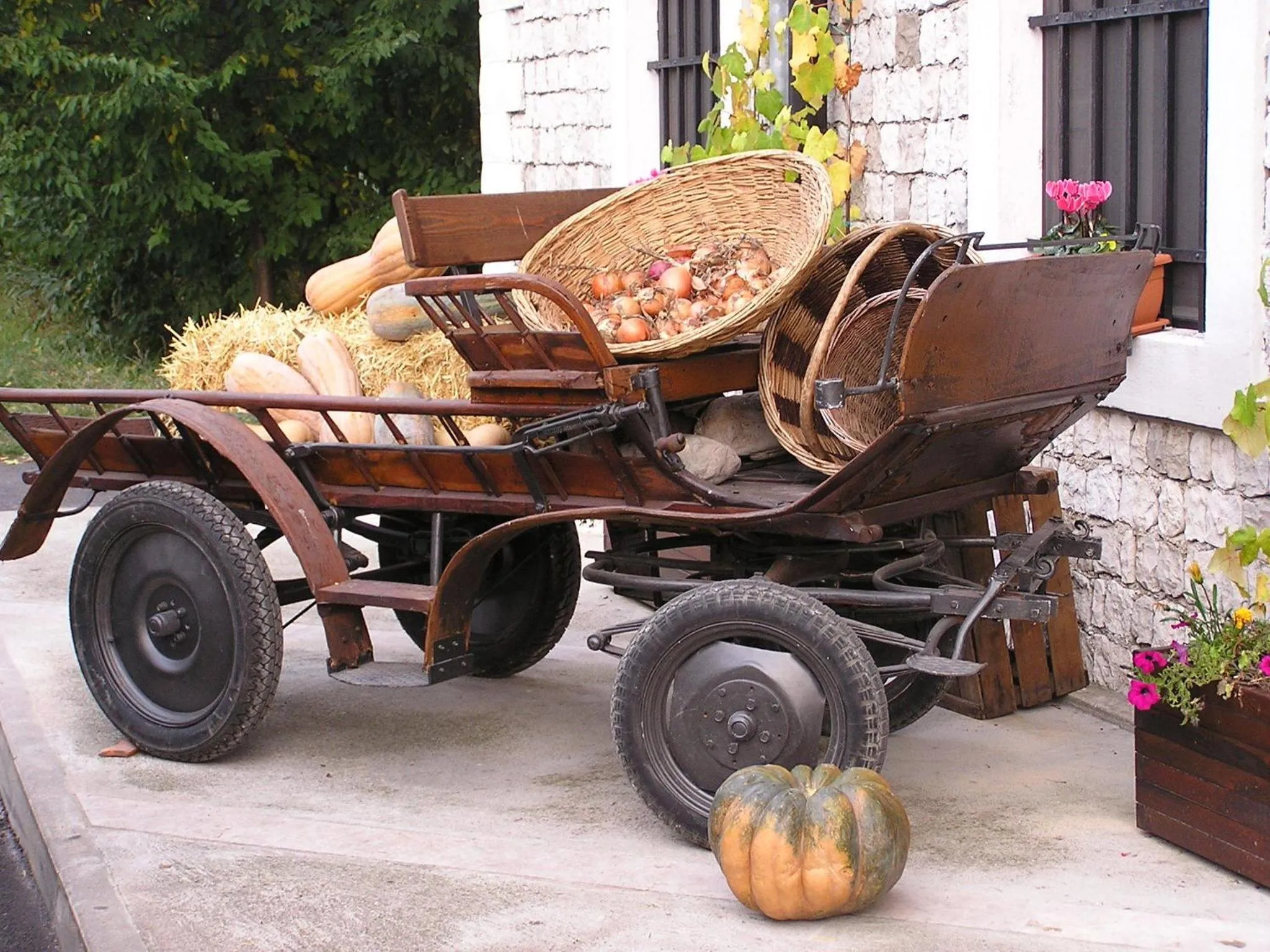 Restaurant/places to eat in Gelindo Dei Magredi