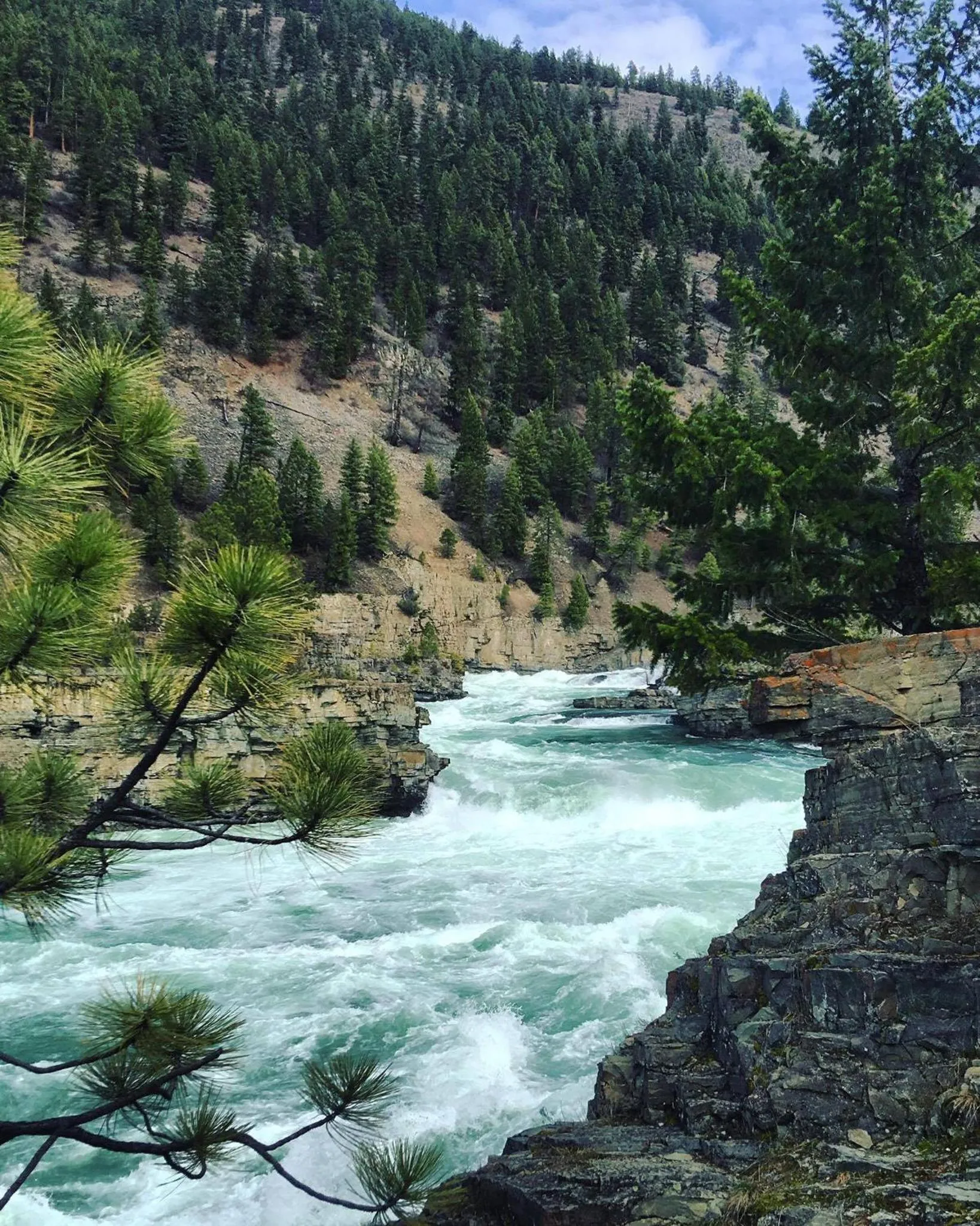 Natural landscape in Evergreen Motel