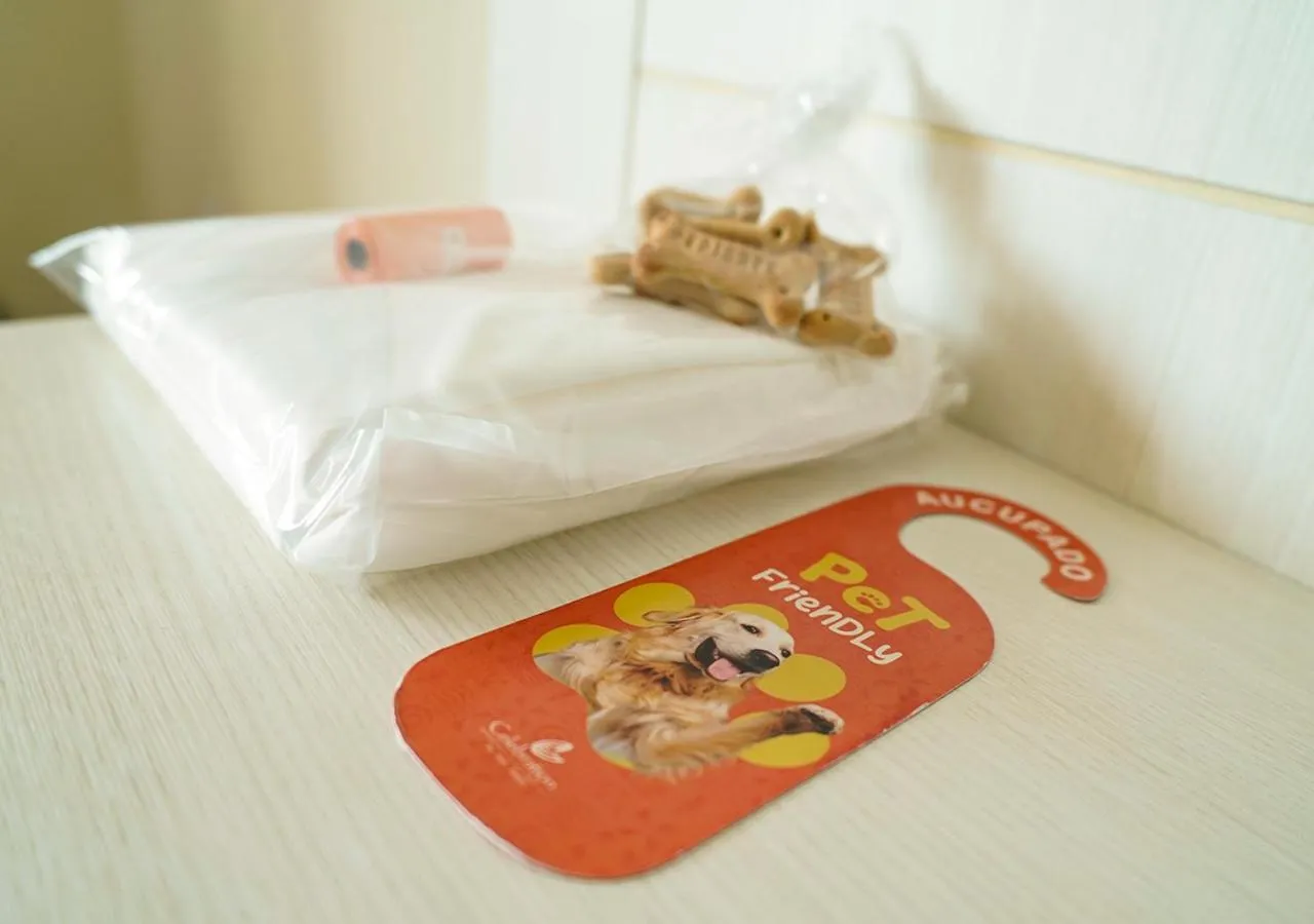 Bed in Hot Beach Celebration