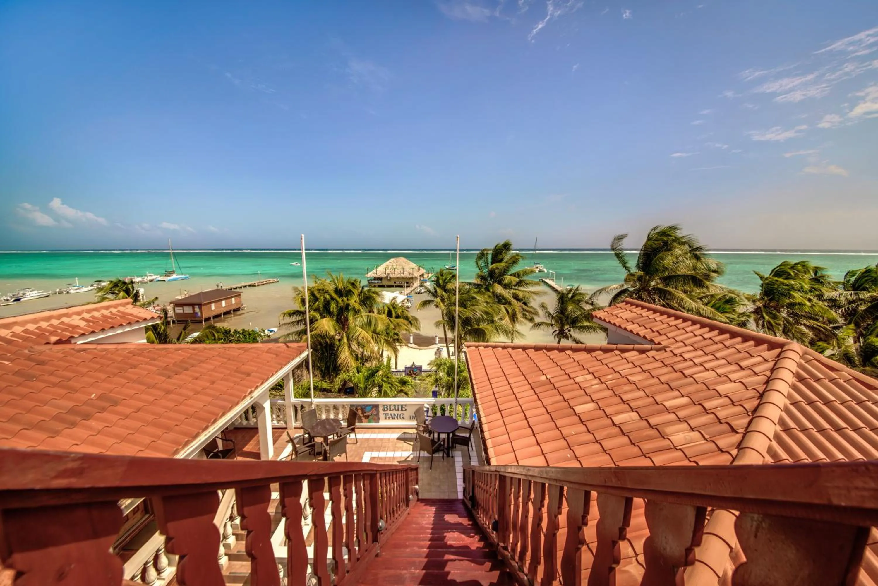 Balcony/Terrace in Blue Tang Inn