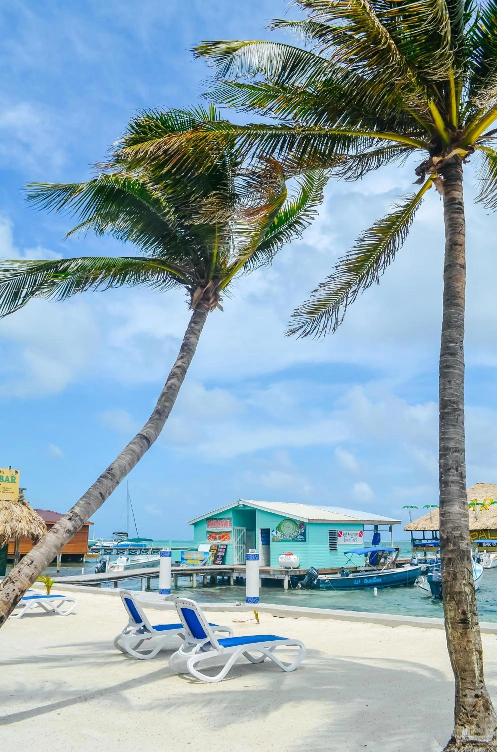 Nearby landmark in Blue Tang Inn