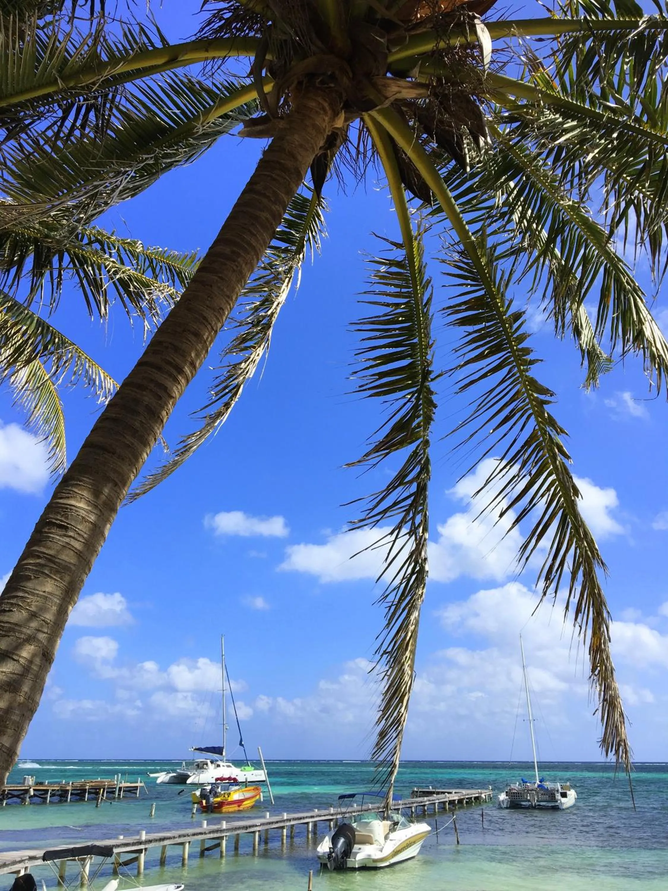 Sports in Blue Tang Inn