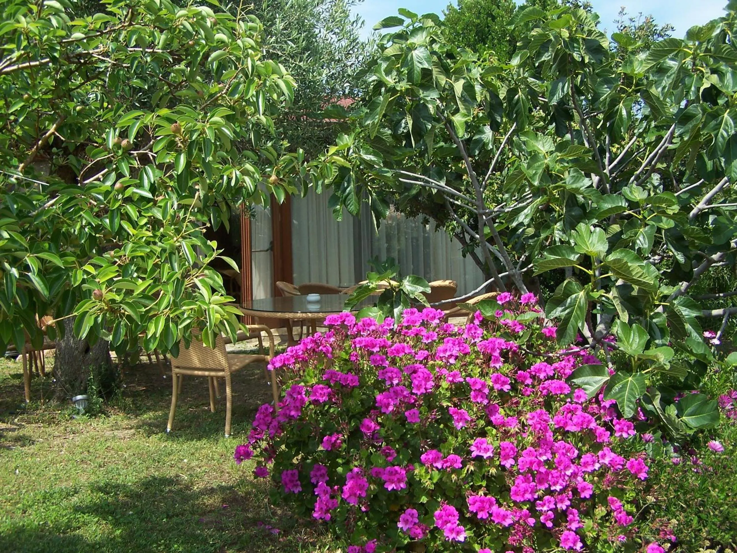 Garden in Hotel Club Ragno D'oro