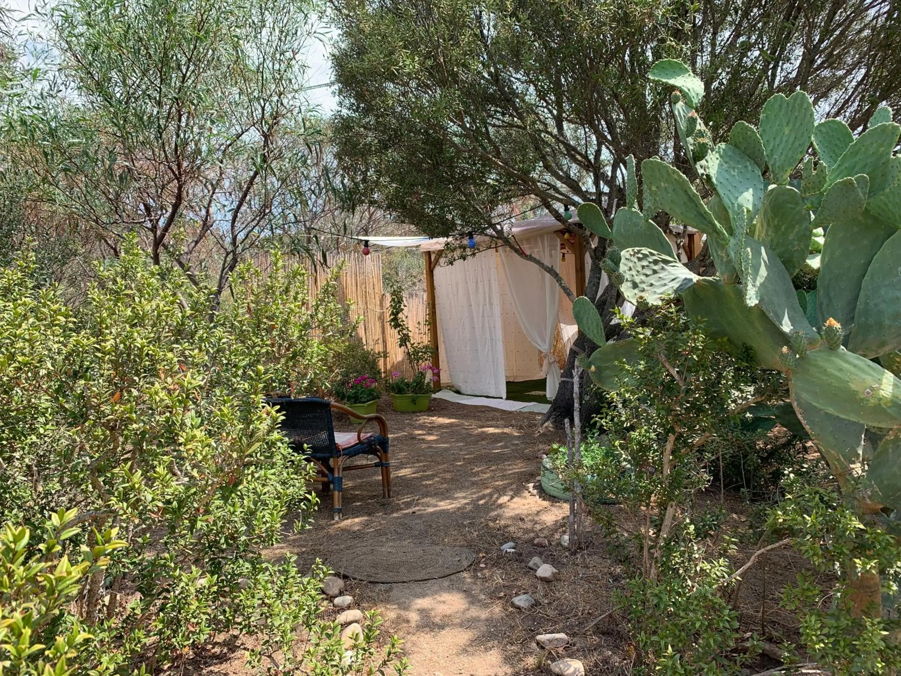 Hotel Club Ragno D'oro