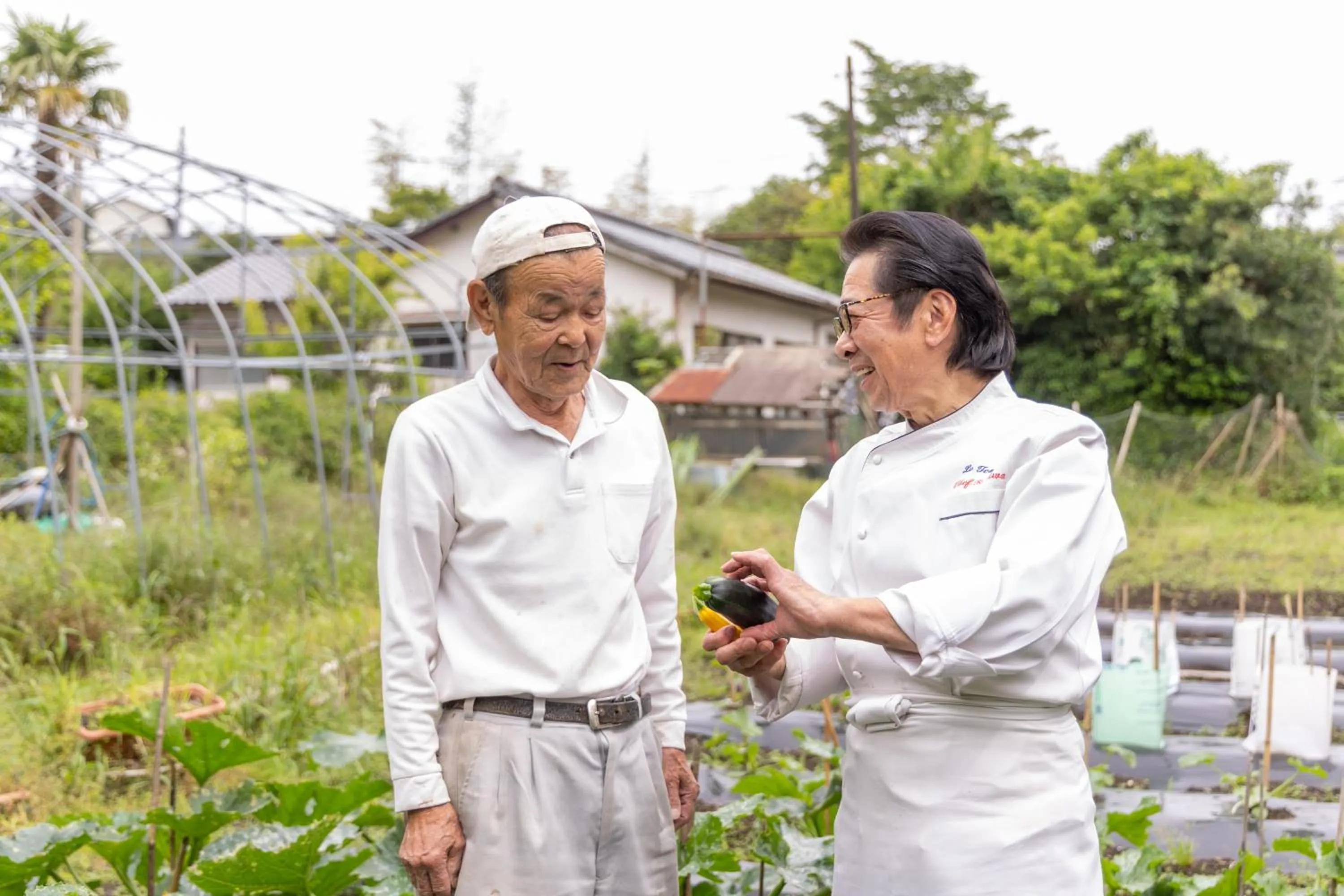 Natural landscape in Auberge Le Temps