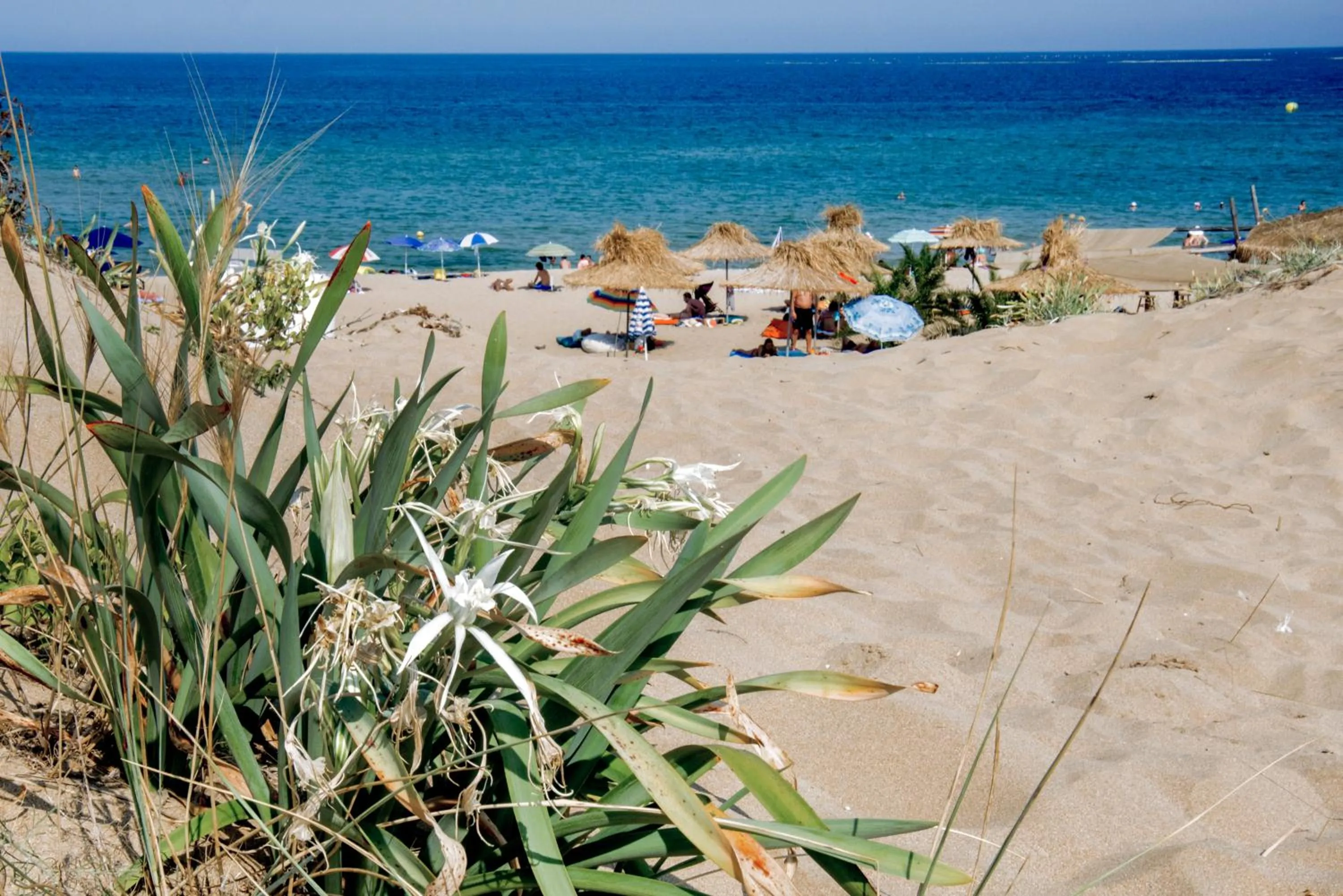Beach in Hotel Miramar Sozopol