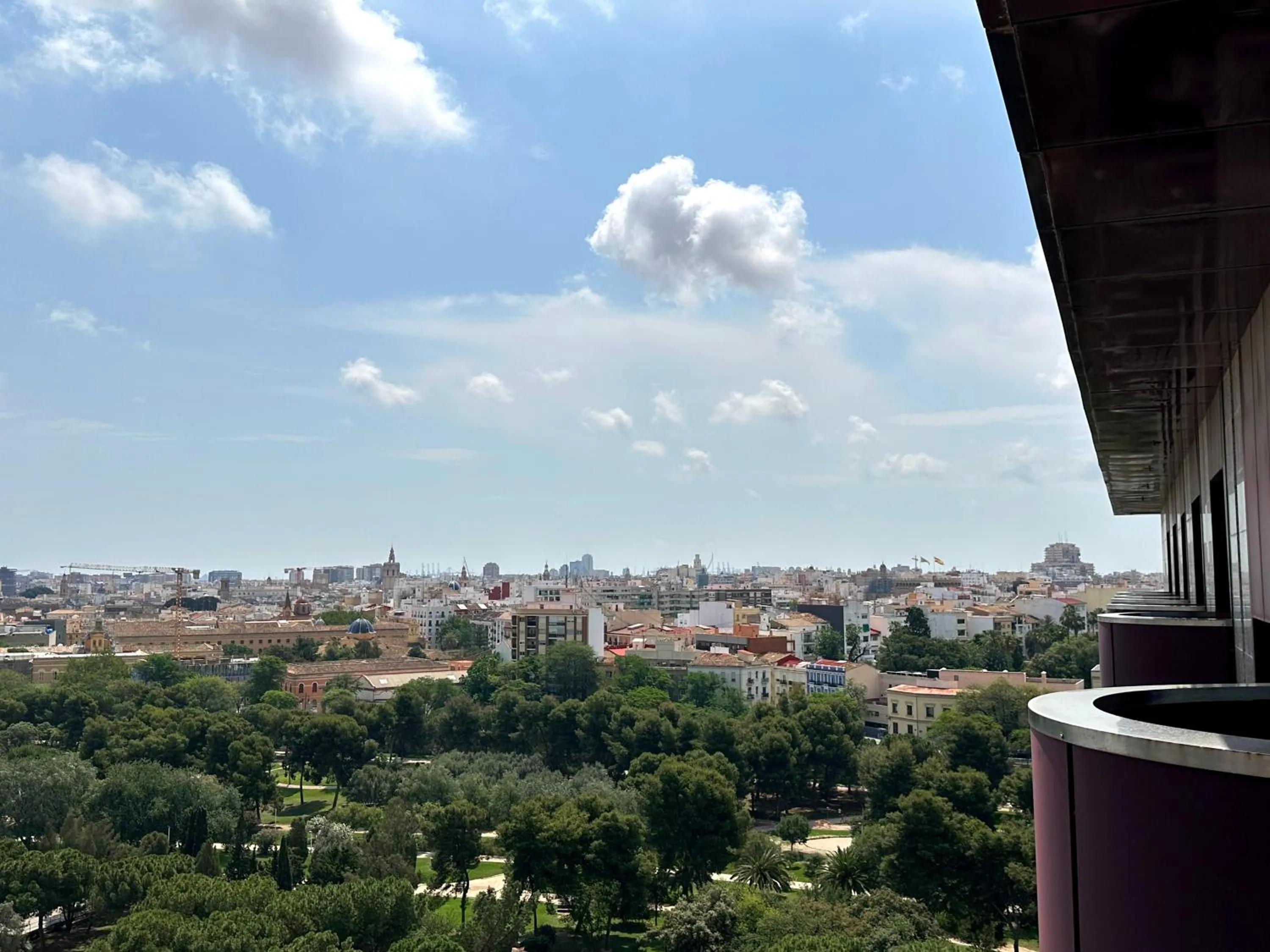 Natural landscape in Hotel Turia Valencia