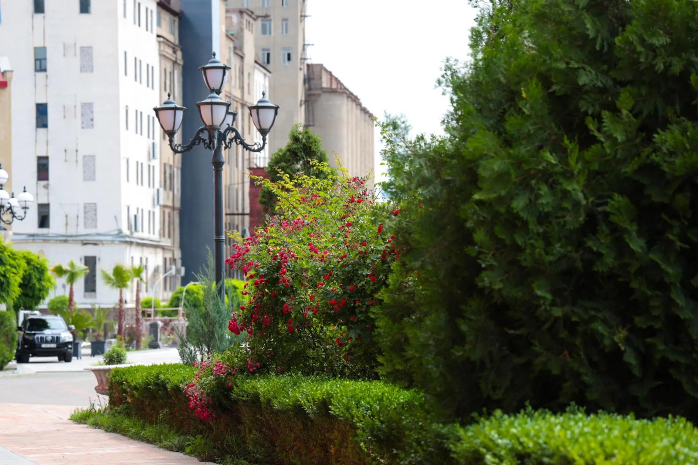 Garden in Plaza Viktoria Hotel Yerevan