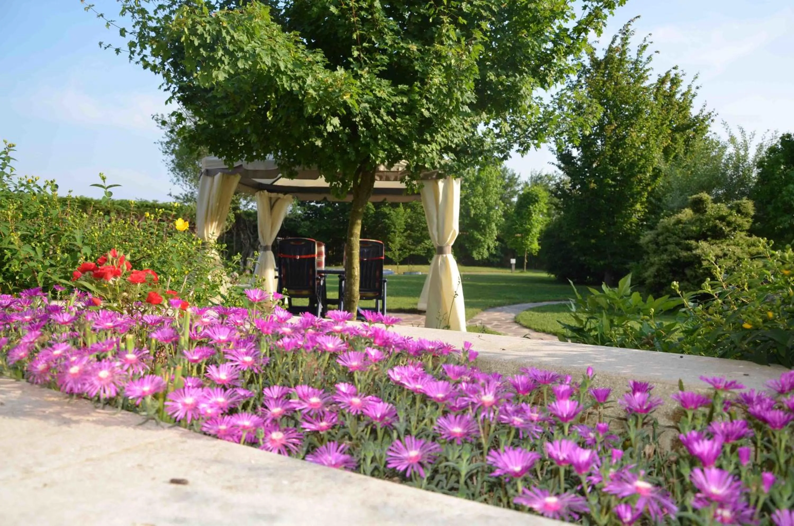 Garden view in B&B Melograno MC