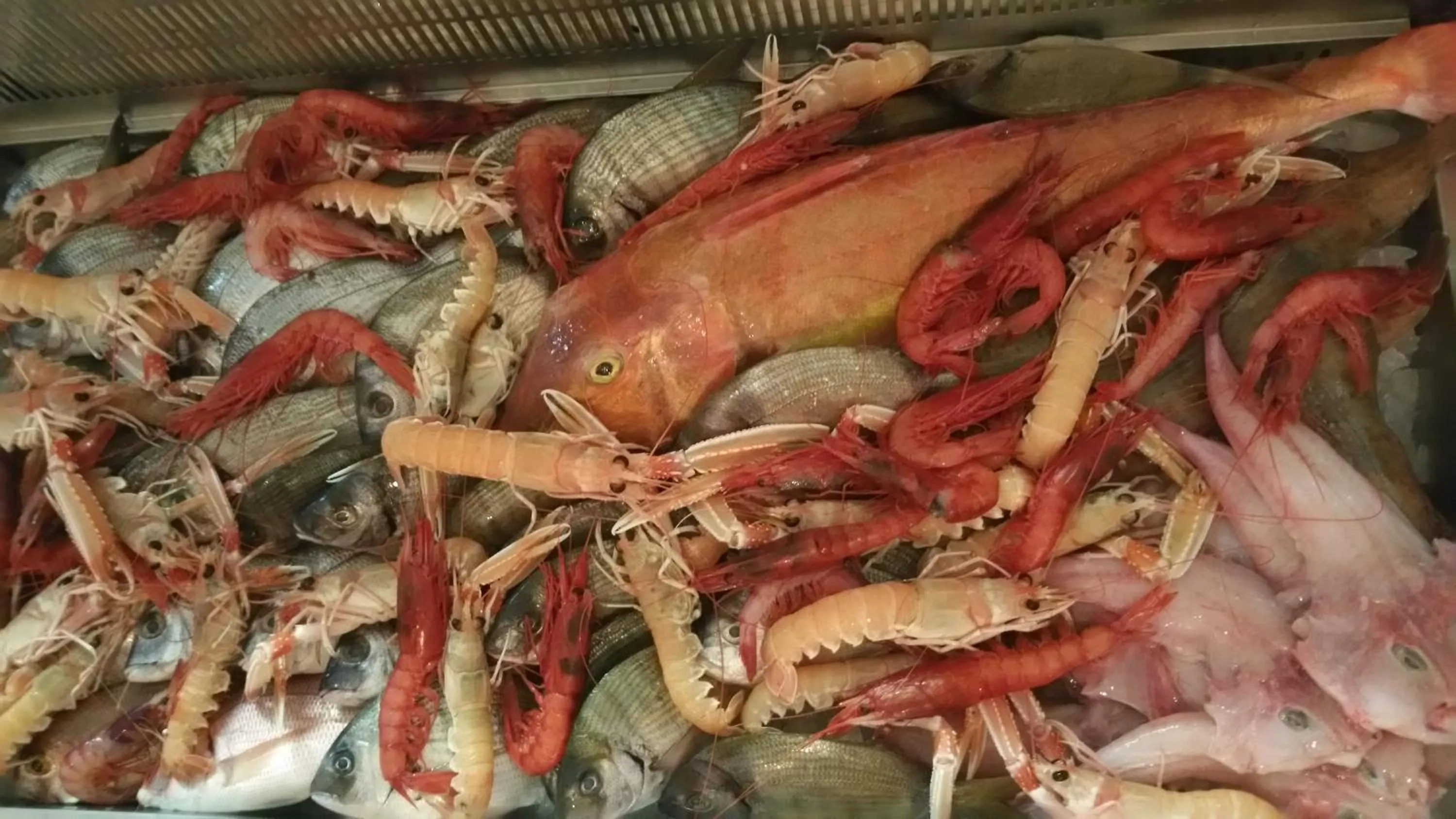 Restaurant/places to eat in B&B Acquapazza