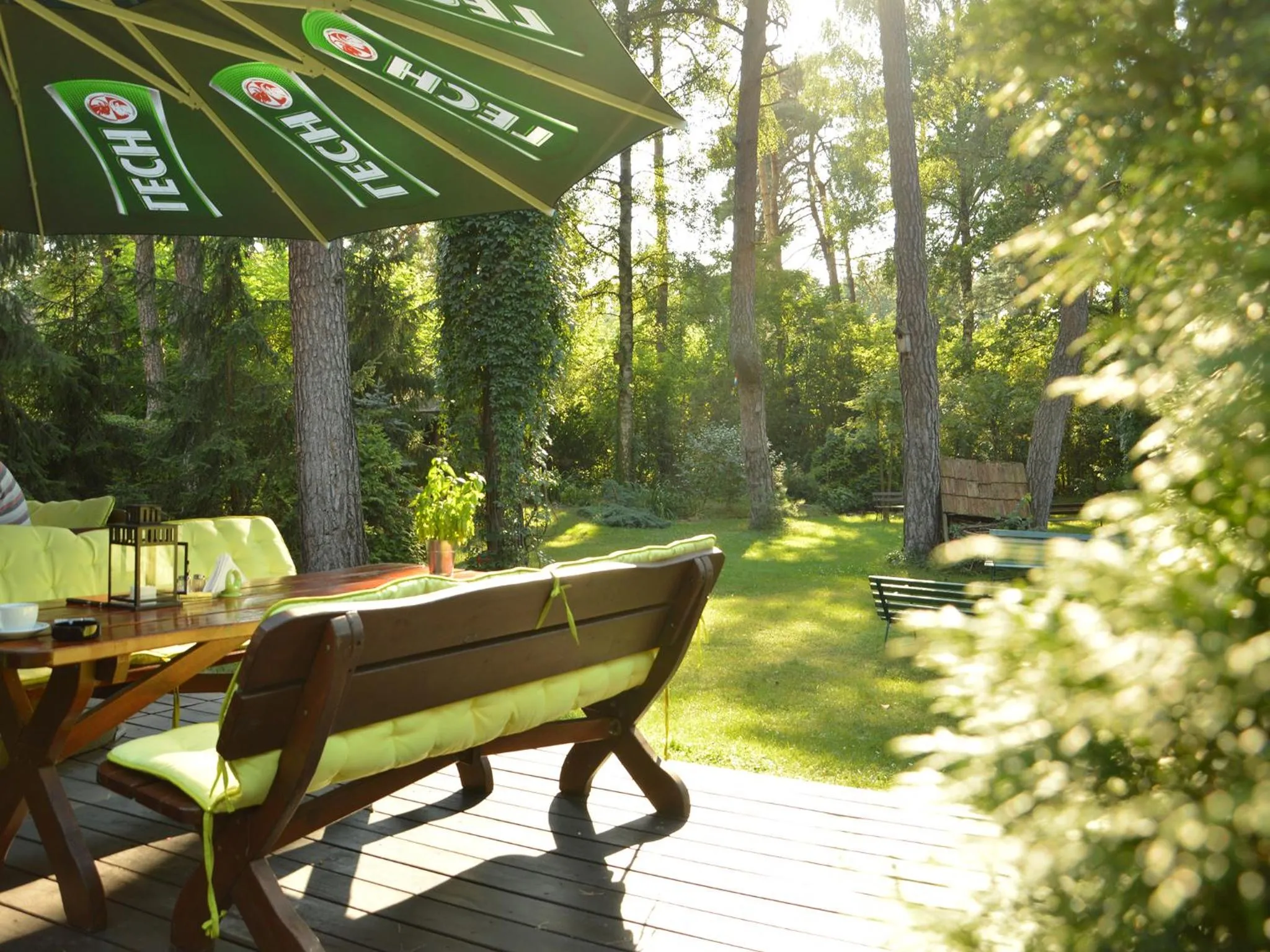 Balcony/Terrace in Leśny Dworek