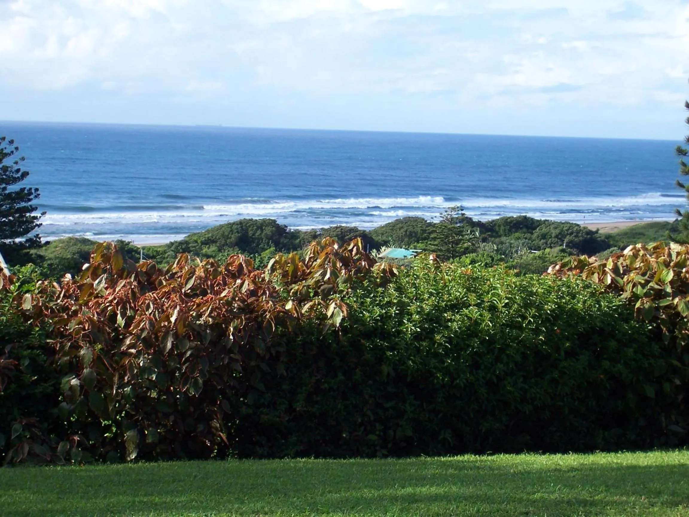 Natural landscape in Birdcage B&B